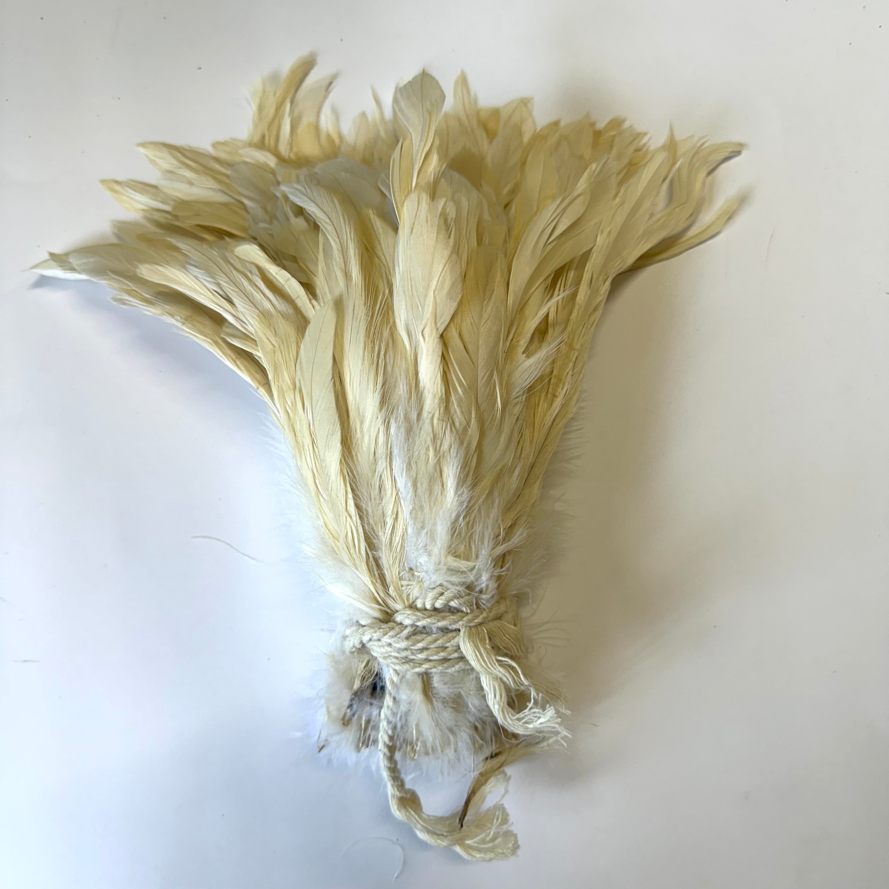 Coque Tail Feathers 6-8" 180mm - 10 grams - Beige