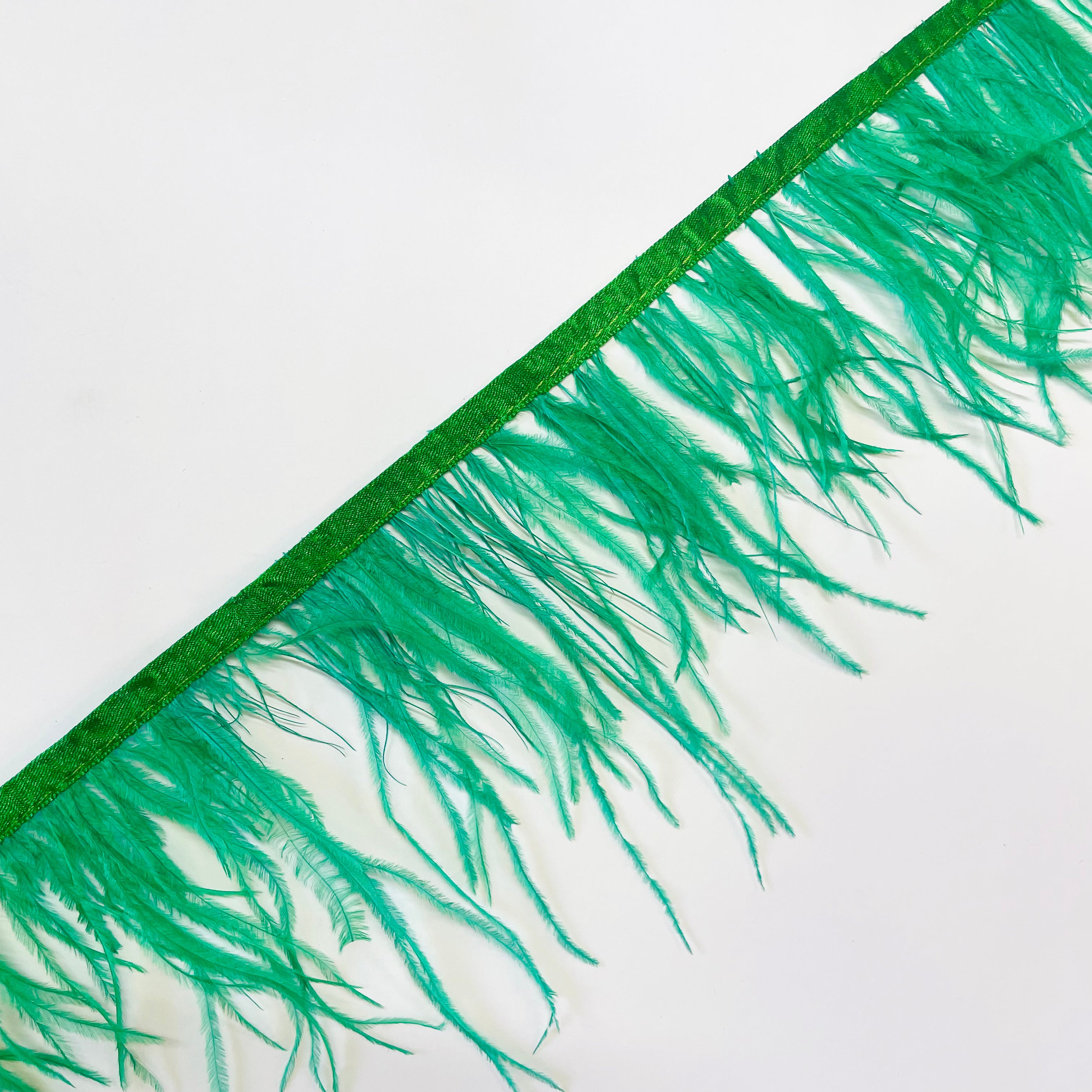 Ostrich Feathers Strung per metre - Green