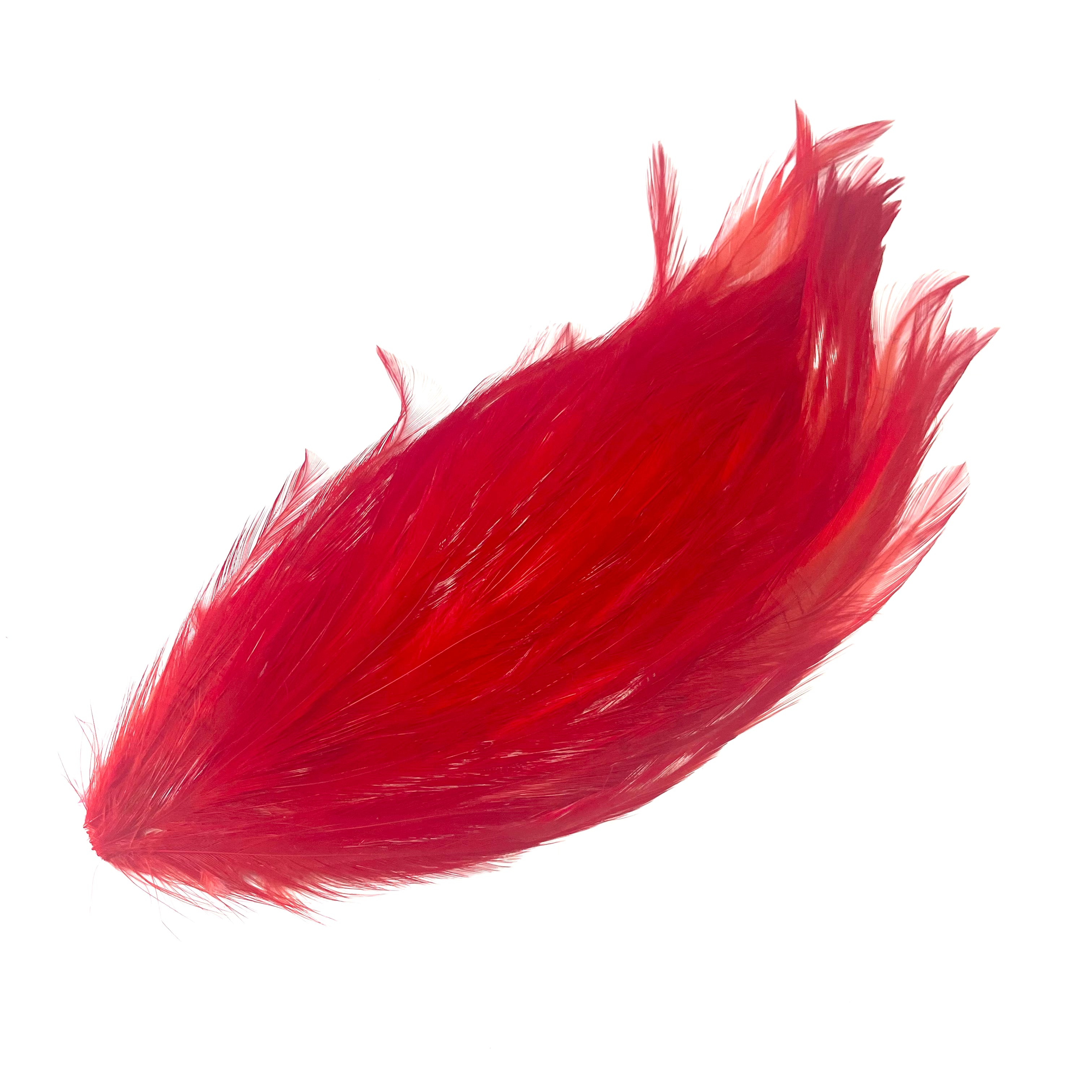 Coque Hackle Feather Pad - Red