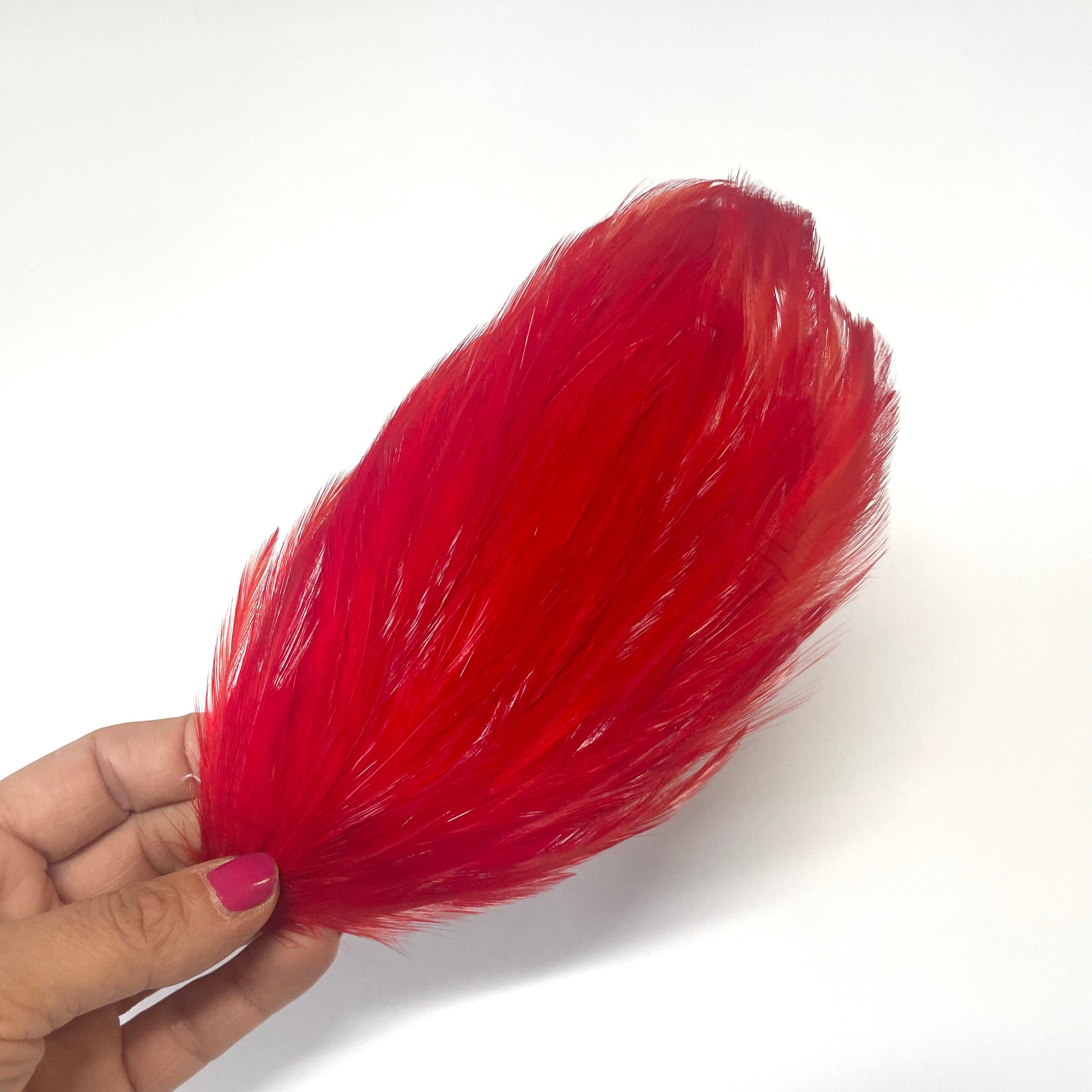 Coque Hackle Feather Pad - Red