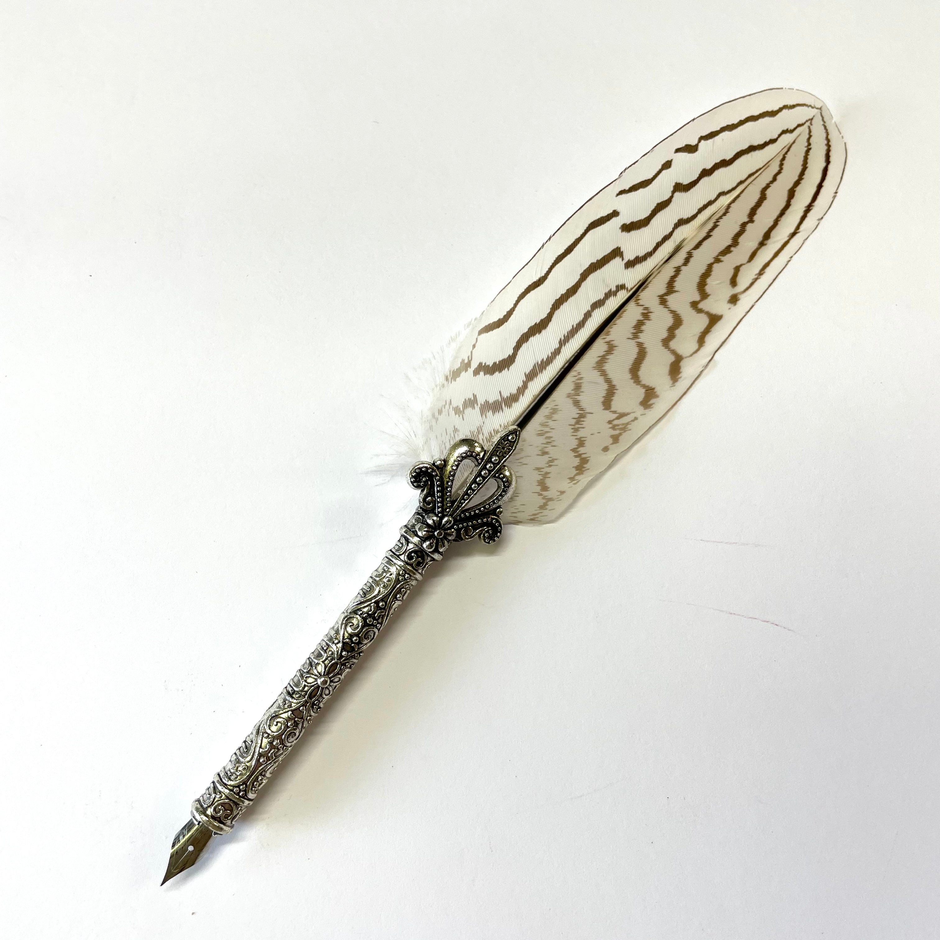 Deluxe Gift Boxed Retro Feather Calligraphy Dip Quill Pen - Natural Silver Pheasant (PEN ONLY)