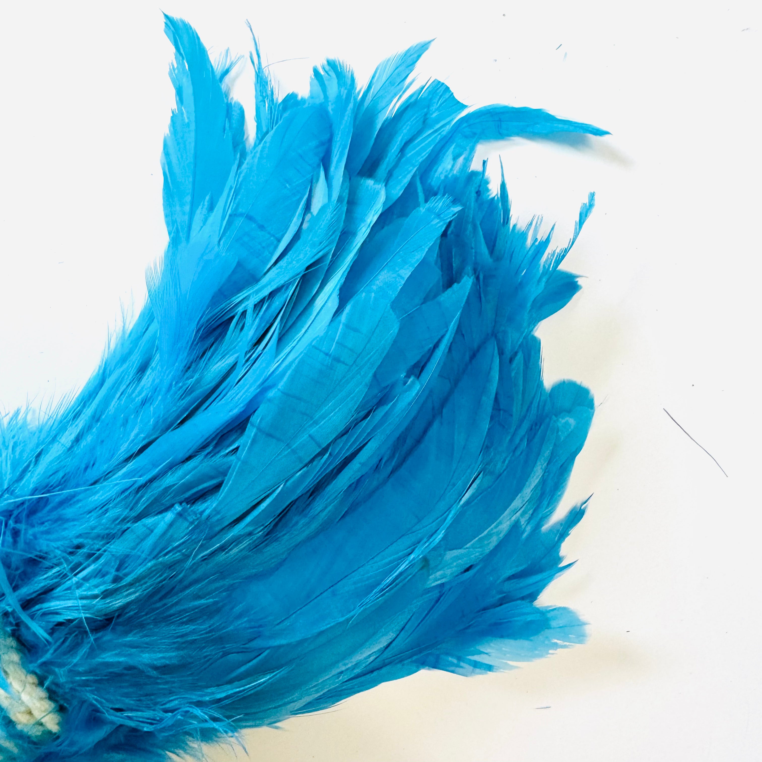 Coque Tail Feathers 6-8" 180mm - 10 grams - Aqua