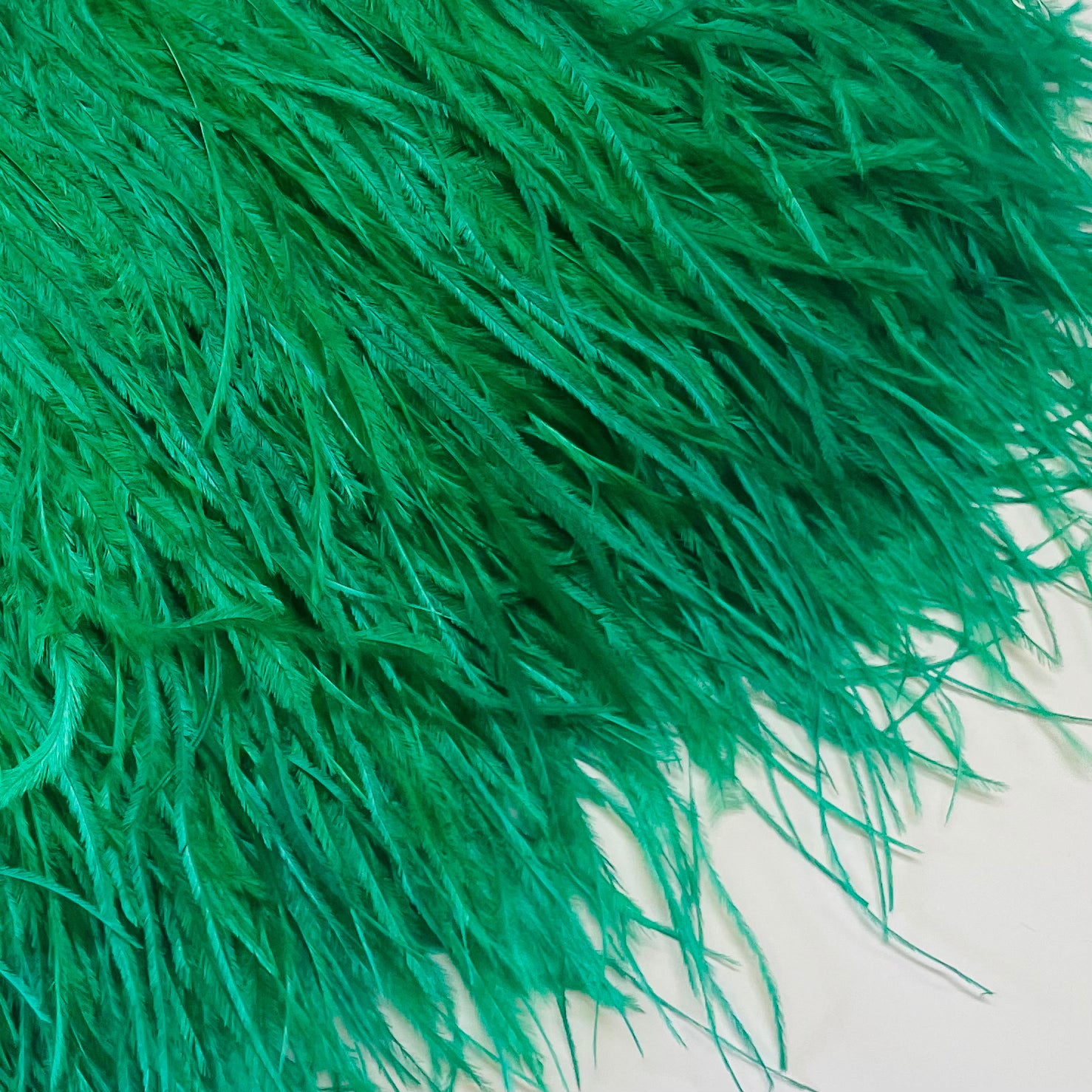Ostrich Feathers Strung per 10cm - Green