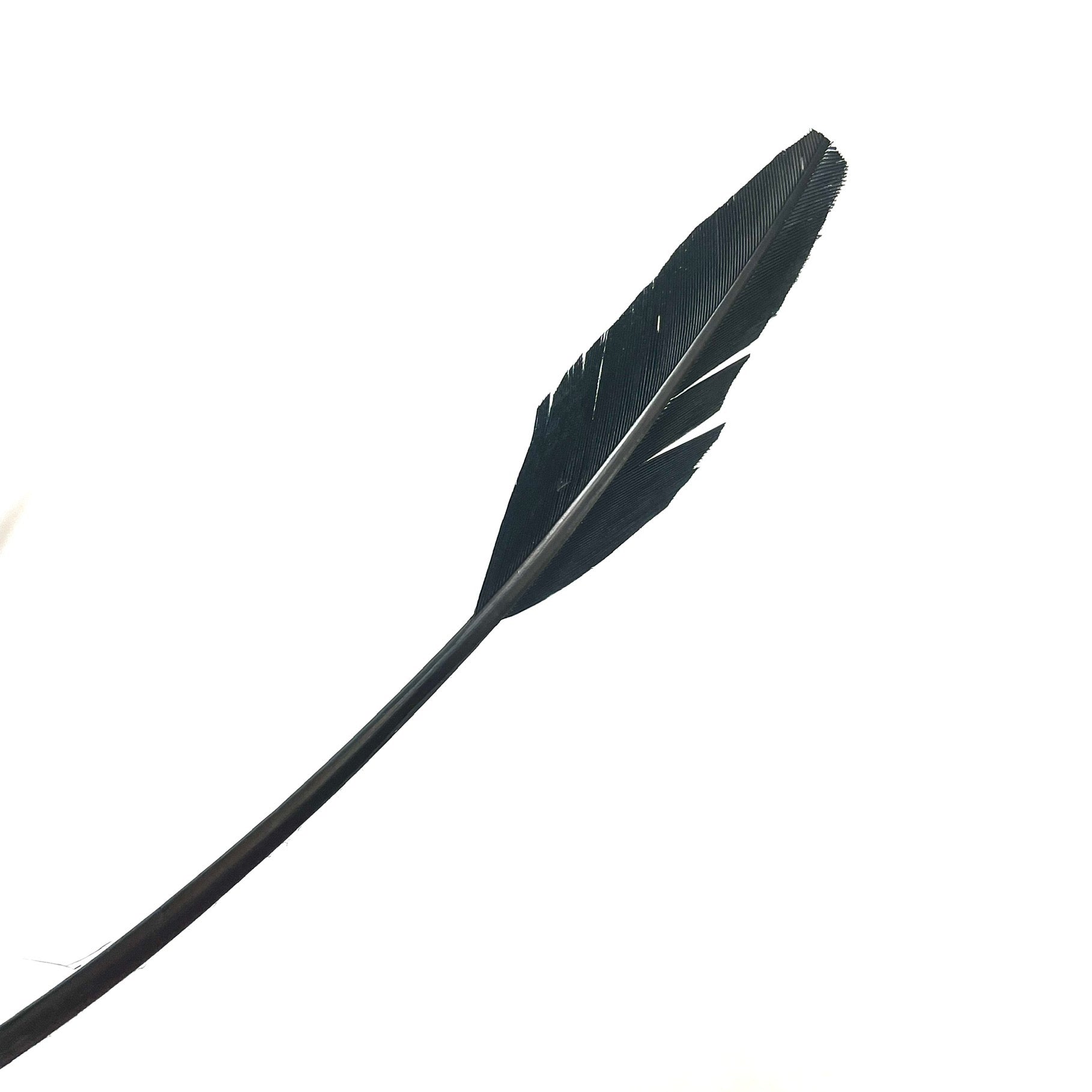 Turkey Wing ARROWHEAD Feather x 50 pcs -  Black ((SECONDS)) ((BULK PACK))