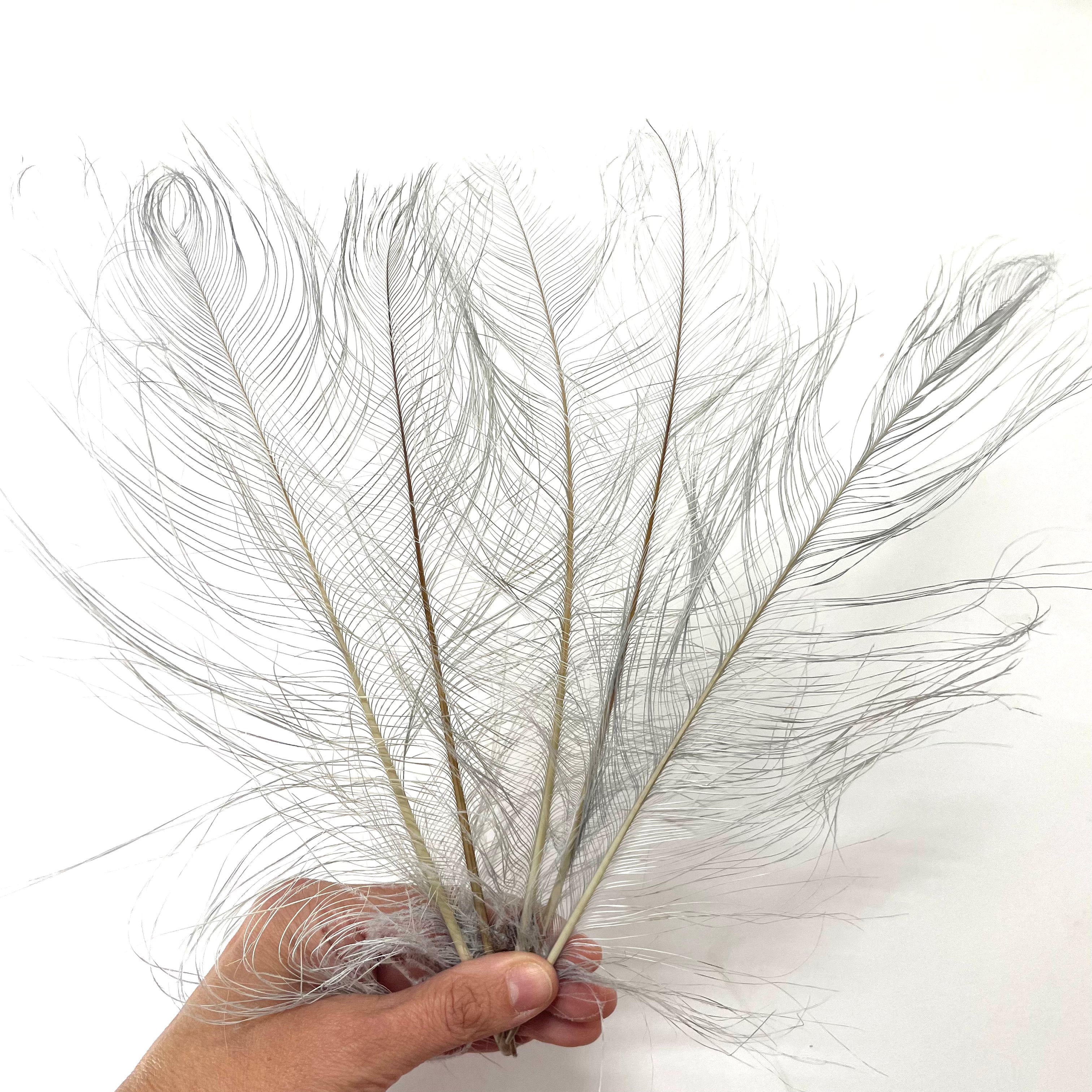 Ostrich Burnt Acid Dipped Cobweb Feather x 5 pcs - Grey