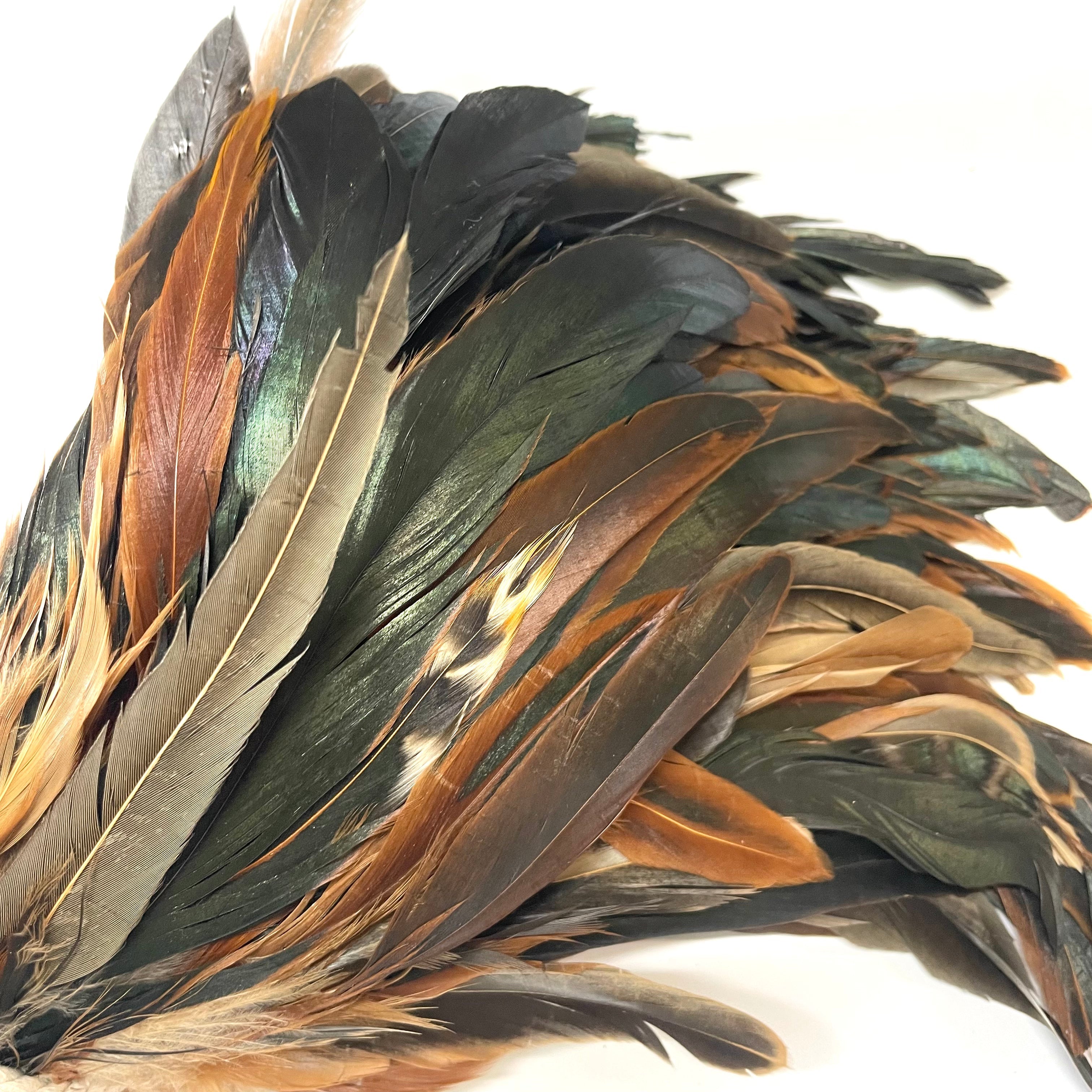 Coque Tail Feathers 6-8" 180mm - 10 grams - Natural Bronze
