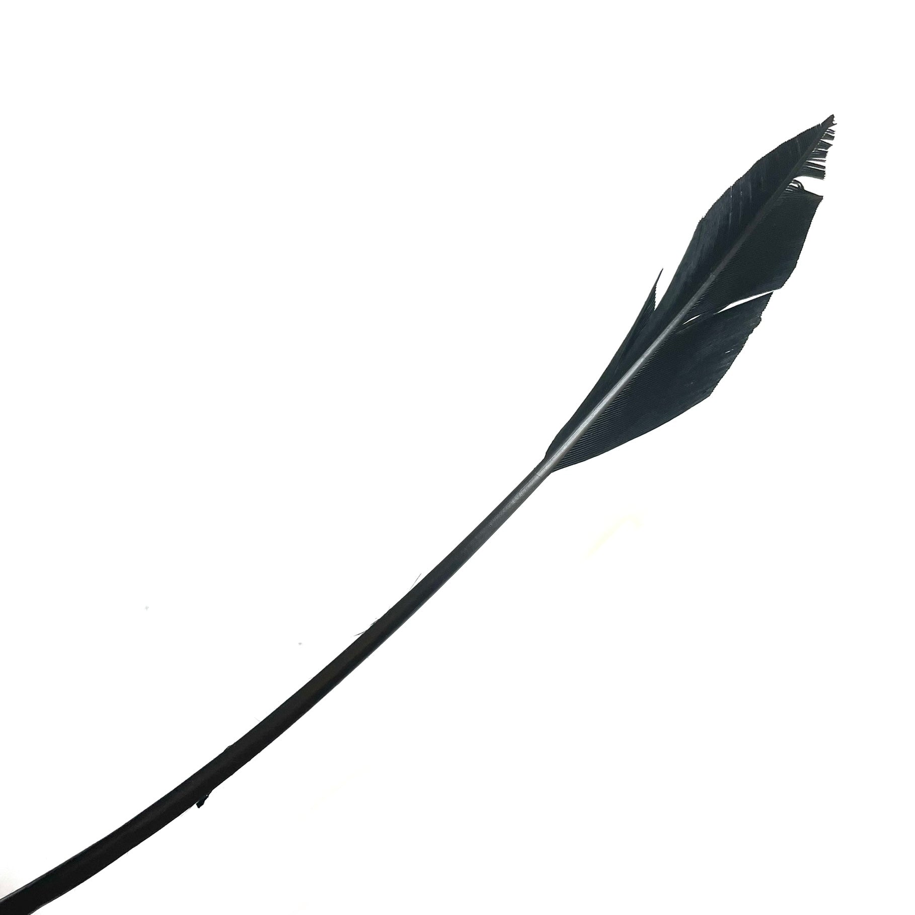 Turkey Wing ARROWHEAD Feather x 50 pcs -  Black ((SECONDS)) ((BULK PACK))