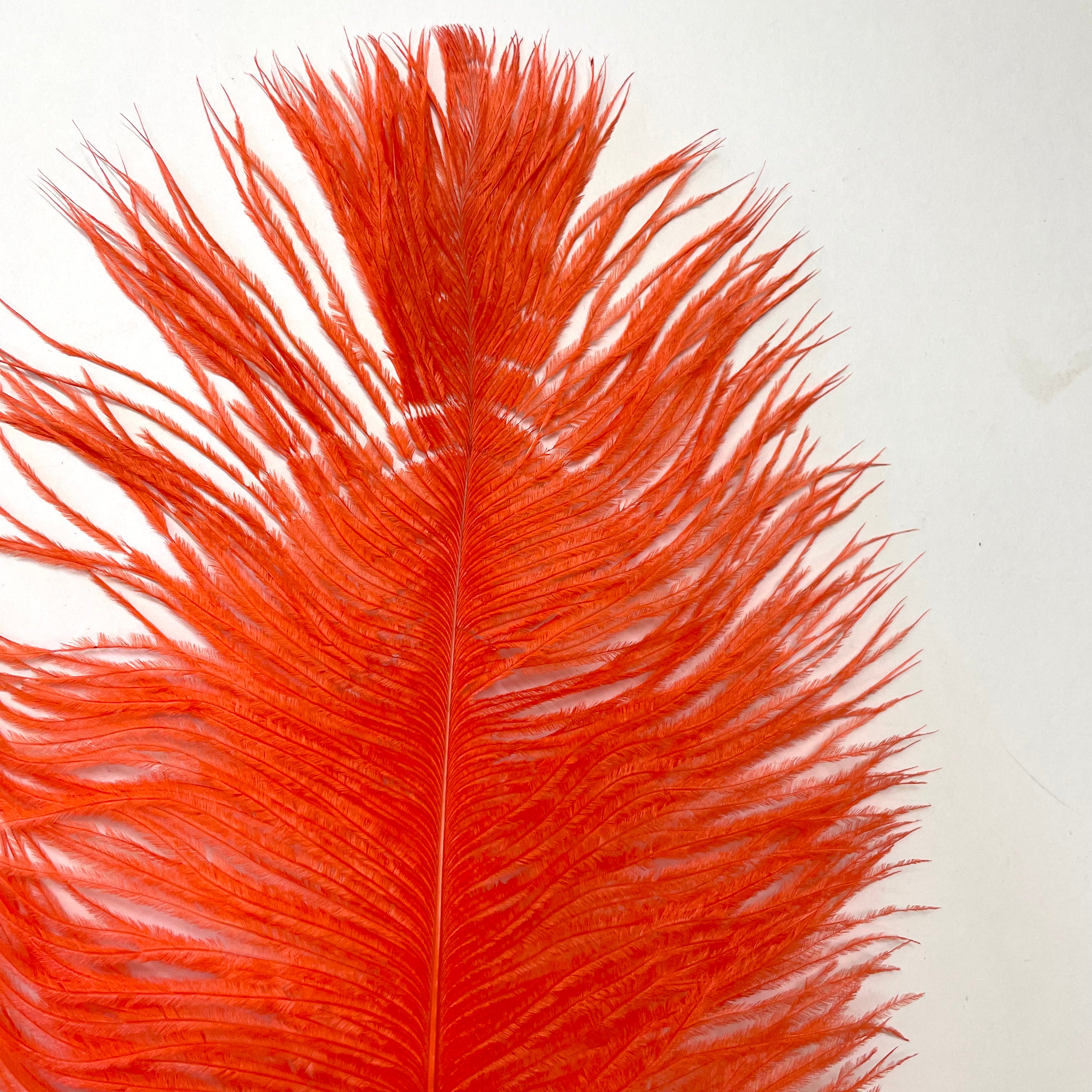 Ostrich Drab Feather 27-32cm - Burnt Orange