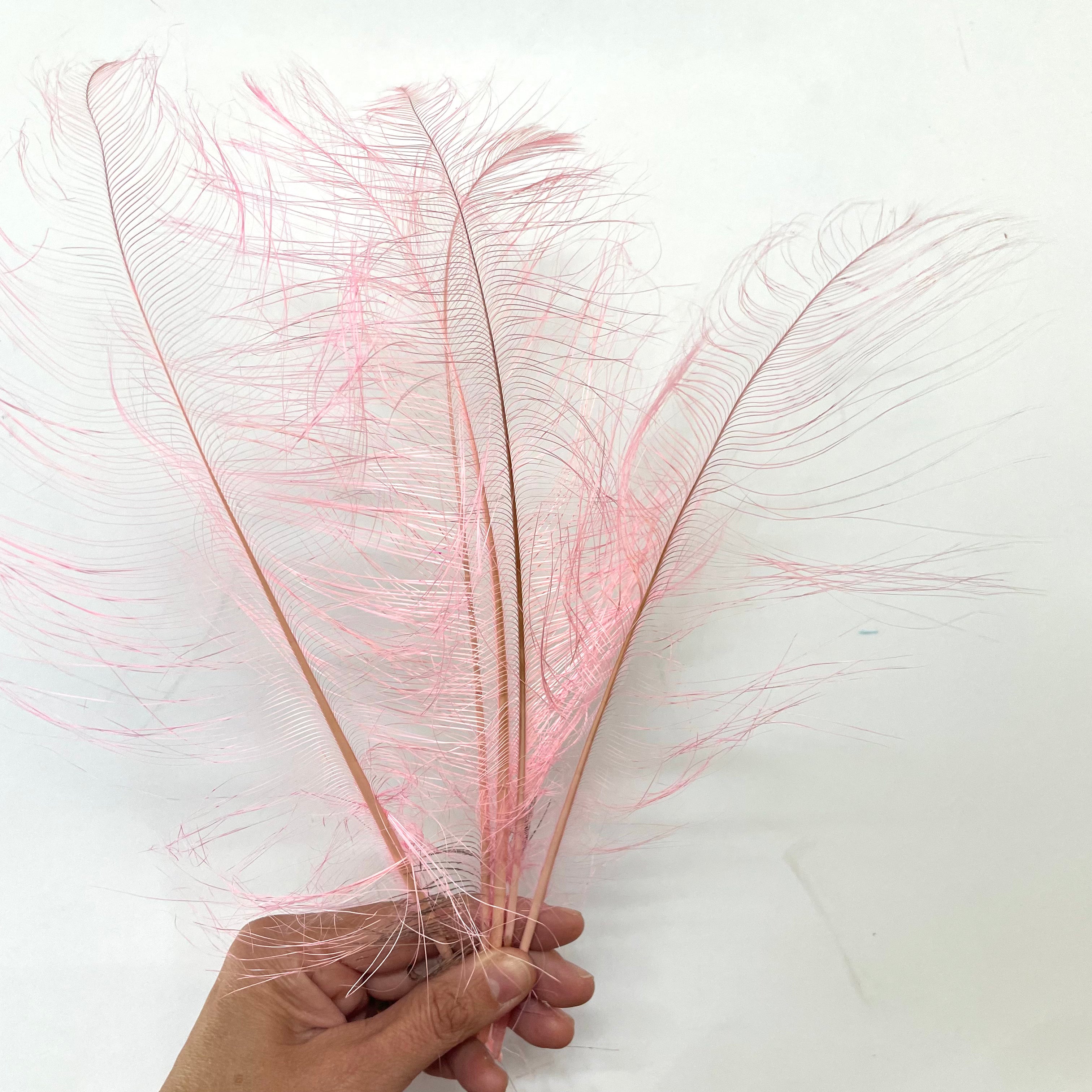 Ostrich Burnt Acid Dipped Cobweb Feather x 5 pcs - Pink