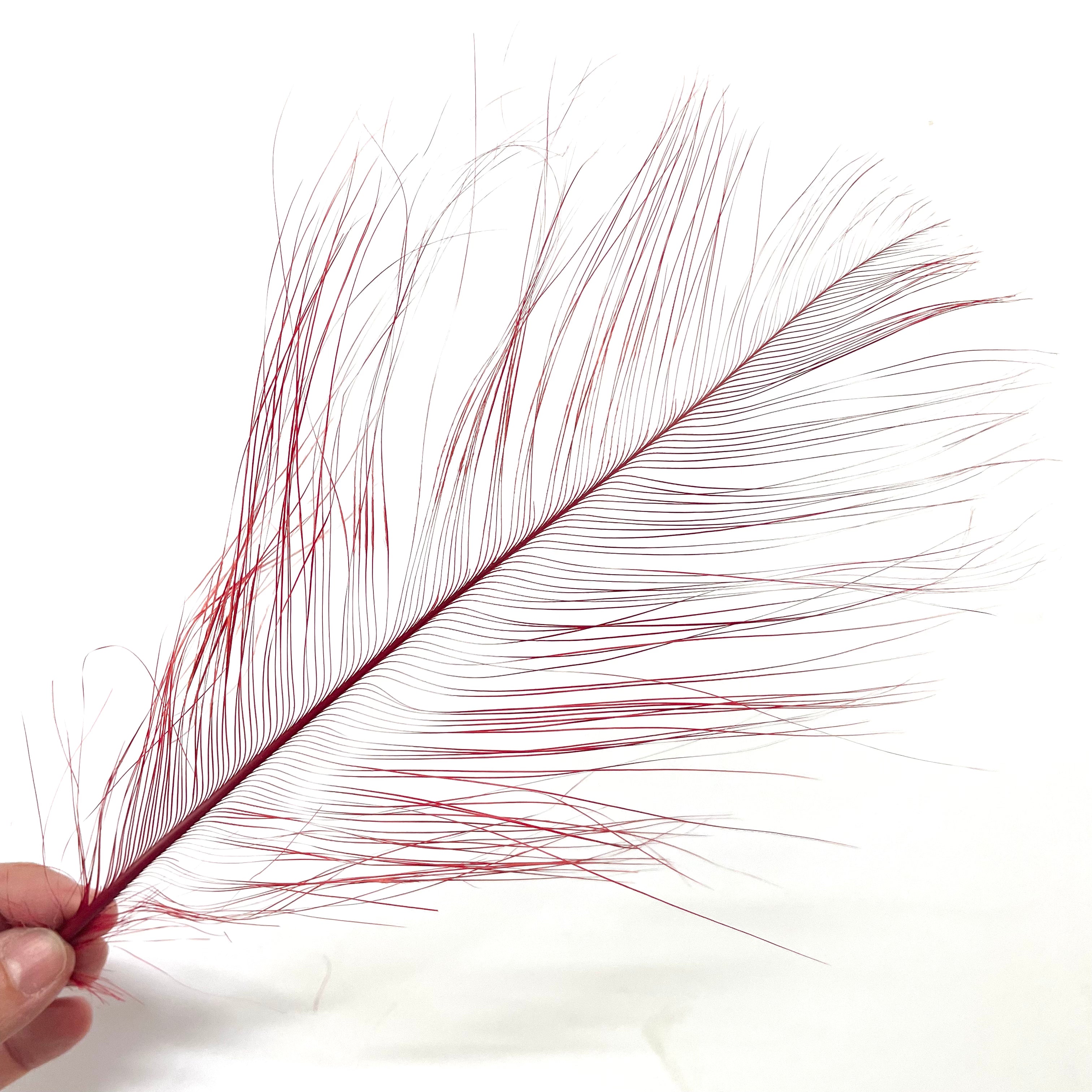 Ostrich Burnt Acid Dipped Cobweb Feather x 5 pcs - Red