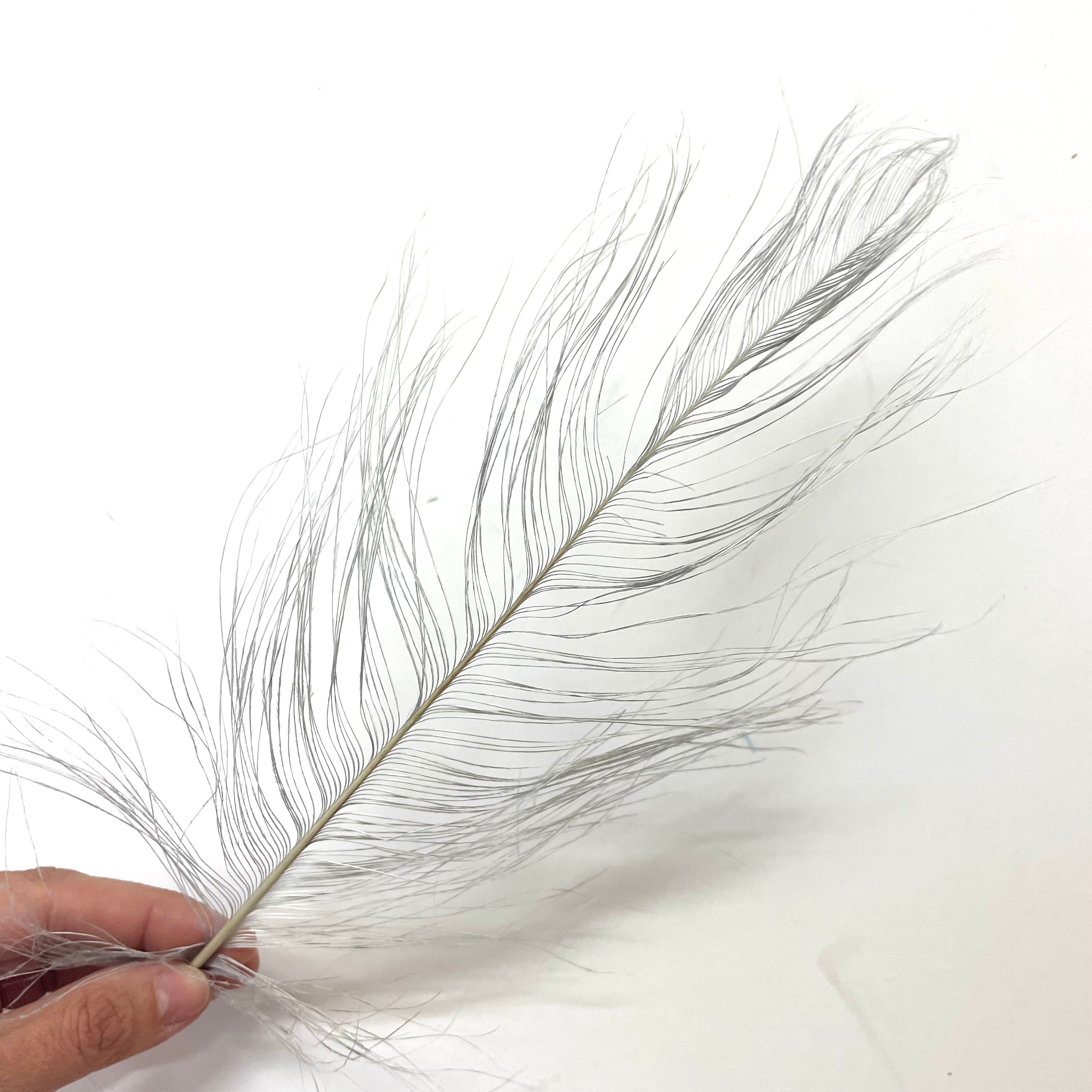 Ostrich Burnt Acid Dipped Cobweb Feather x 5 pcs - Grey