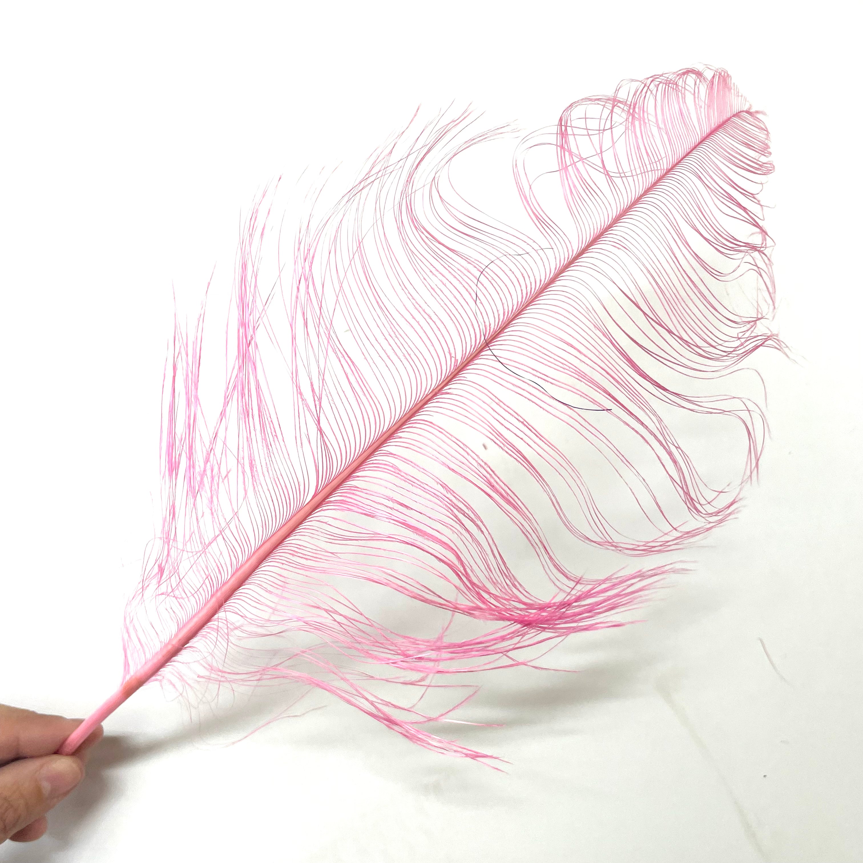 Ostrich Burnt Acid Dipped Cobweb Feather x 5 pcs - Hot Pink