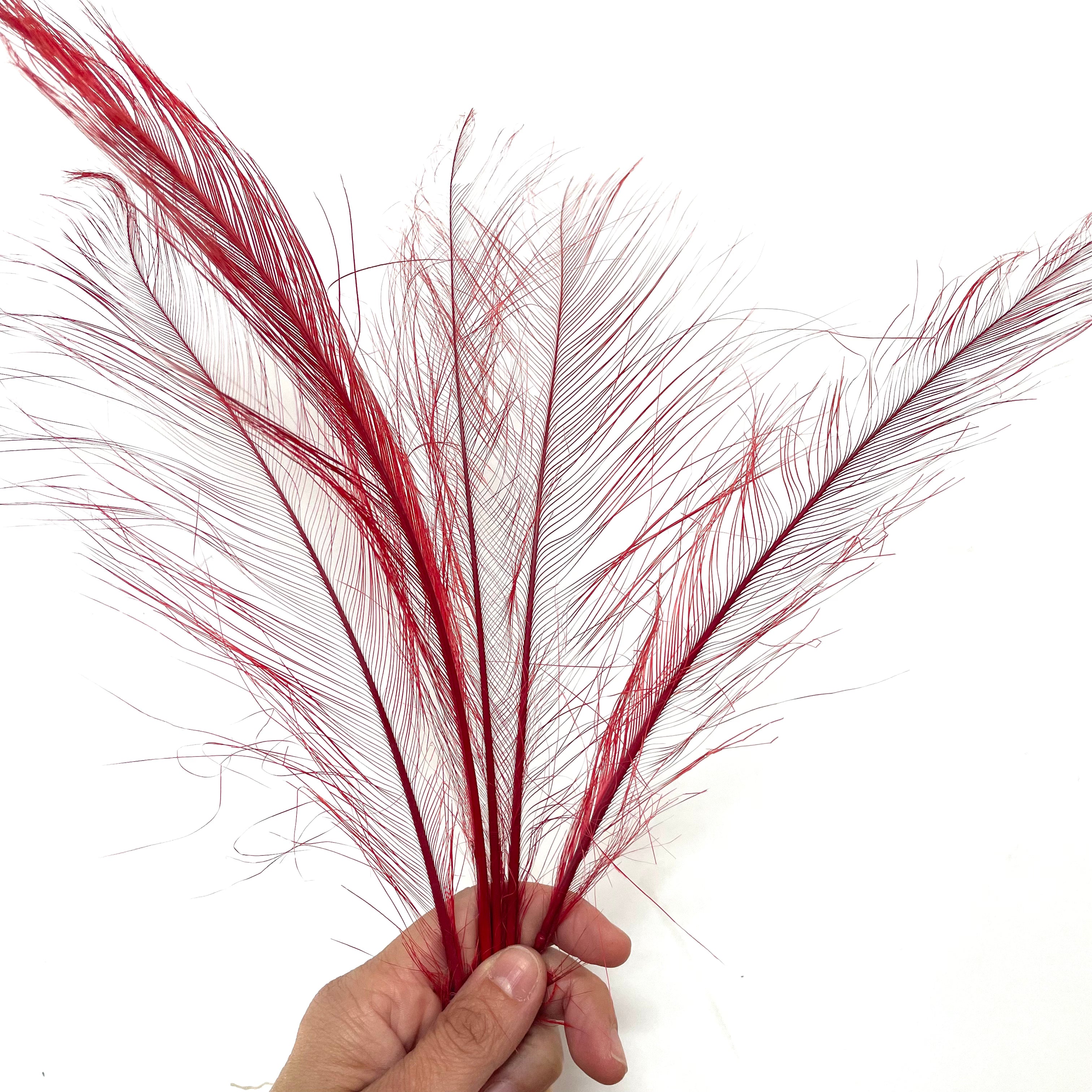 Ostrich Burnt Acid Dipped Cobweb Feather x 5 pcs - Red