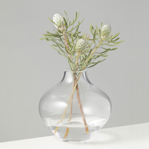 Glass Amalfi Idah Vase (16Dx17cmH) Clear