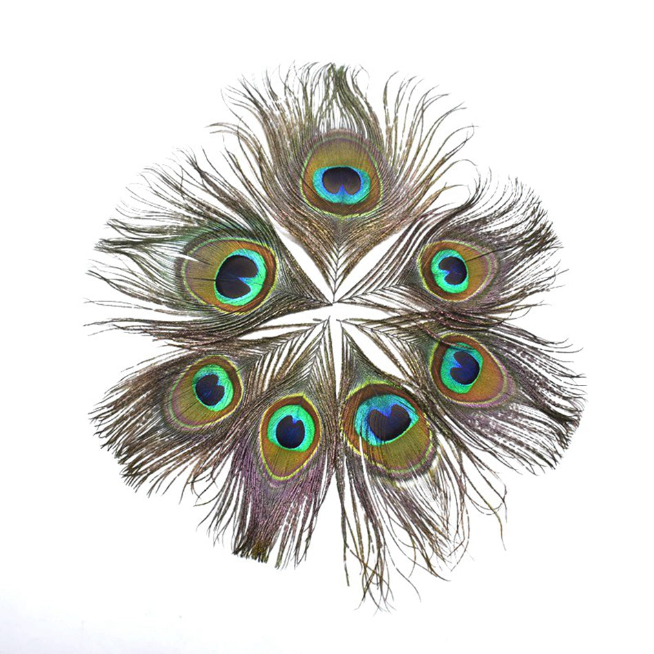 Natural Peacock Eye Tail Feather MINI 10cm x 10 pcs