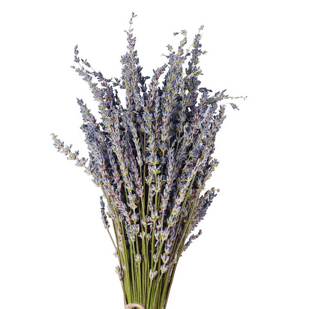 Natural Dried Lavender Flower Stem Bunch