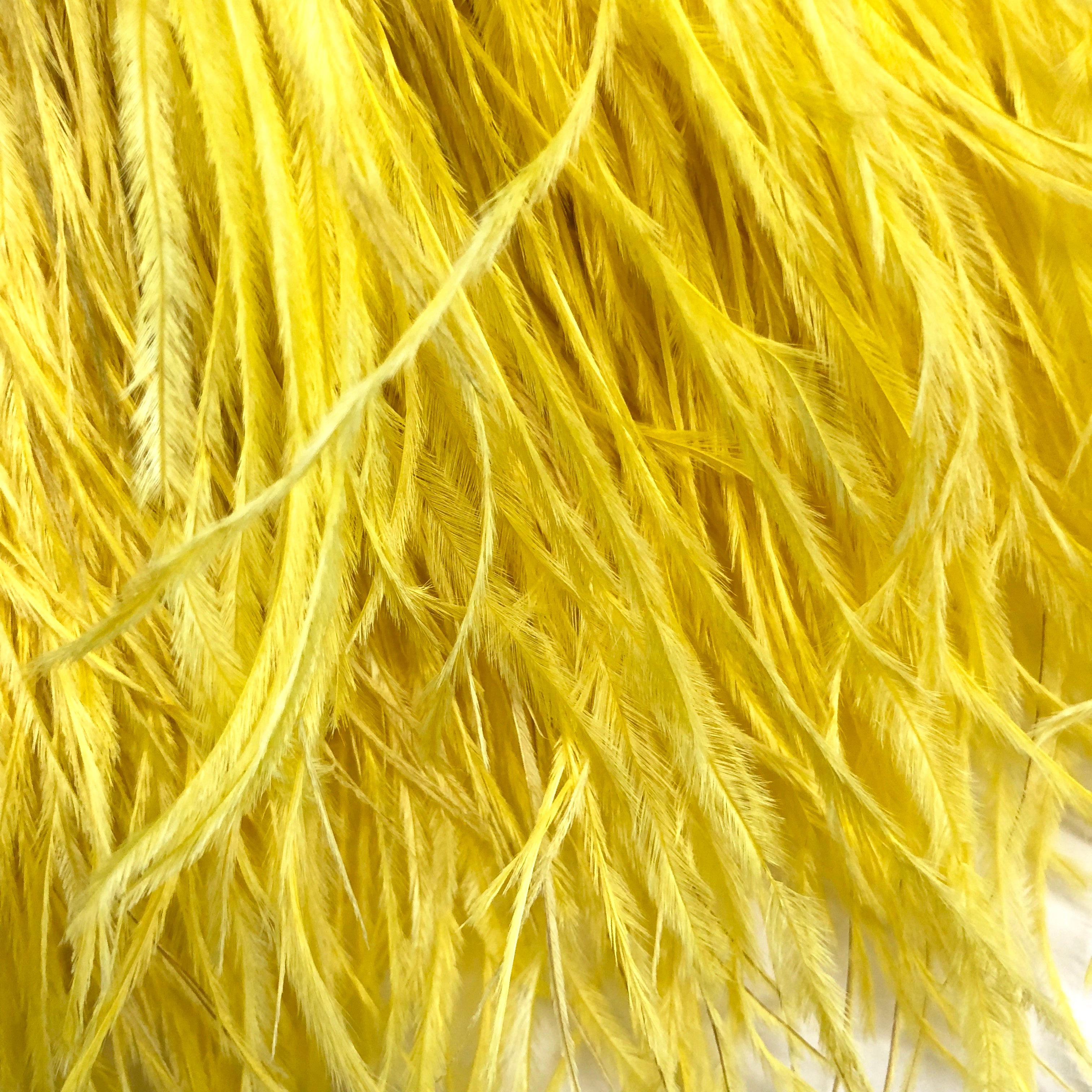 Ostrich Feathers Strung per 10cm - Yellow