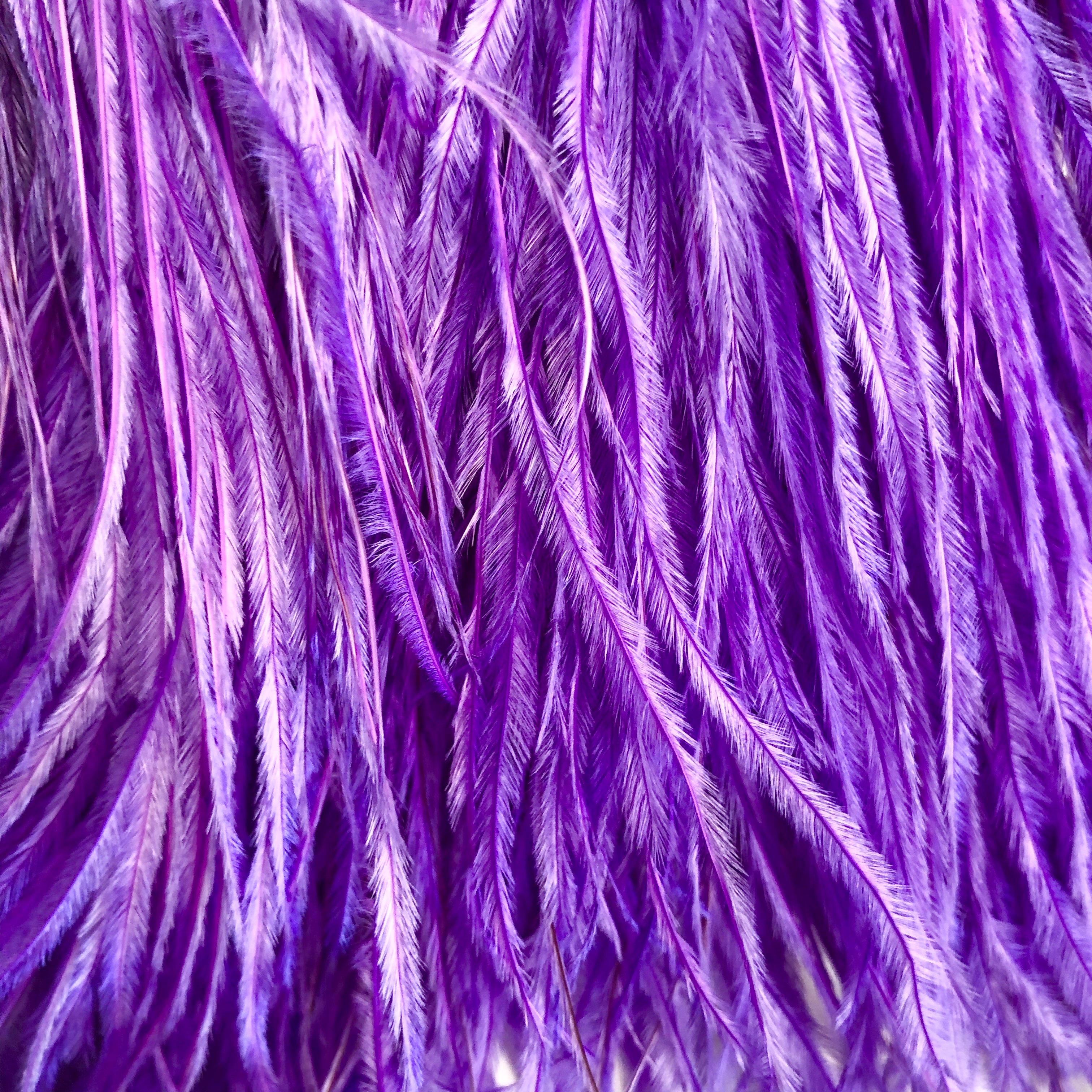 Ostrich Feathers Strung per 10cm - Purple