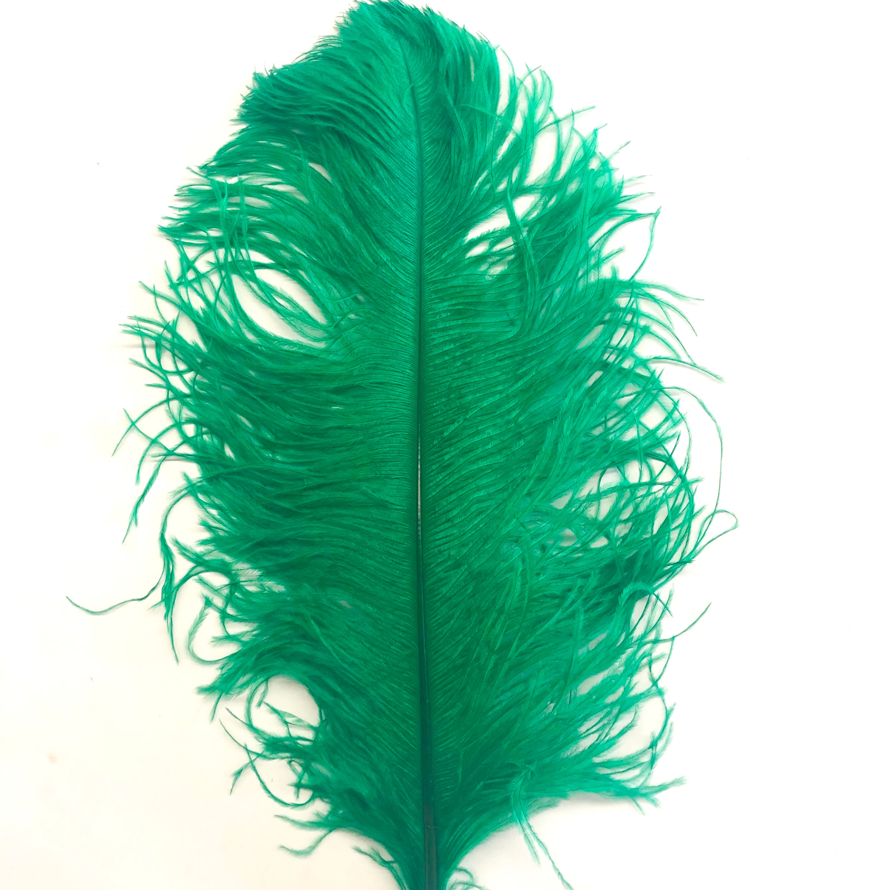 Ostrich Wing Feather Plumes 60-65cm (24-26") - Green