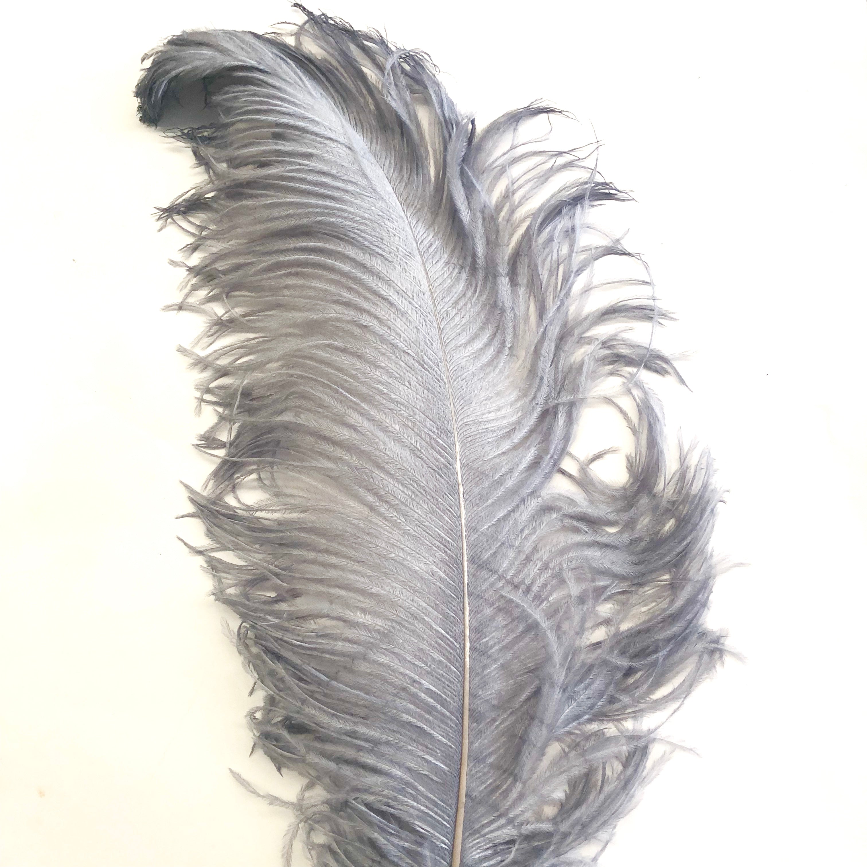 Ostrich Wing Feather Plumes 60-65cm (24-26") - Grey