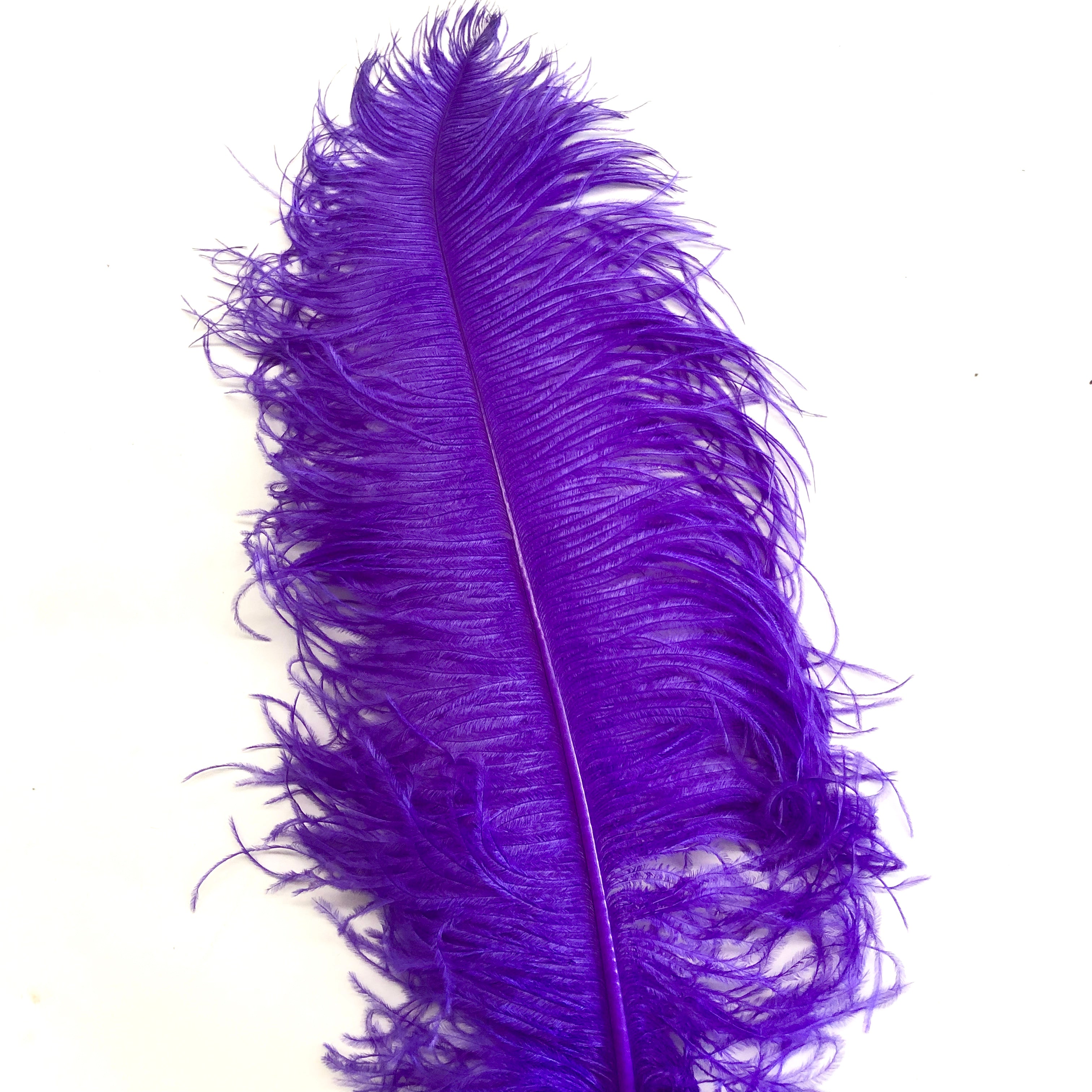 Ostrich Wing Feather Plumes 50-55cm (20-22") - Purple ((SECONDS))