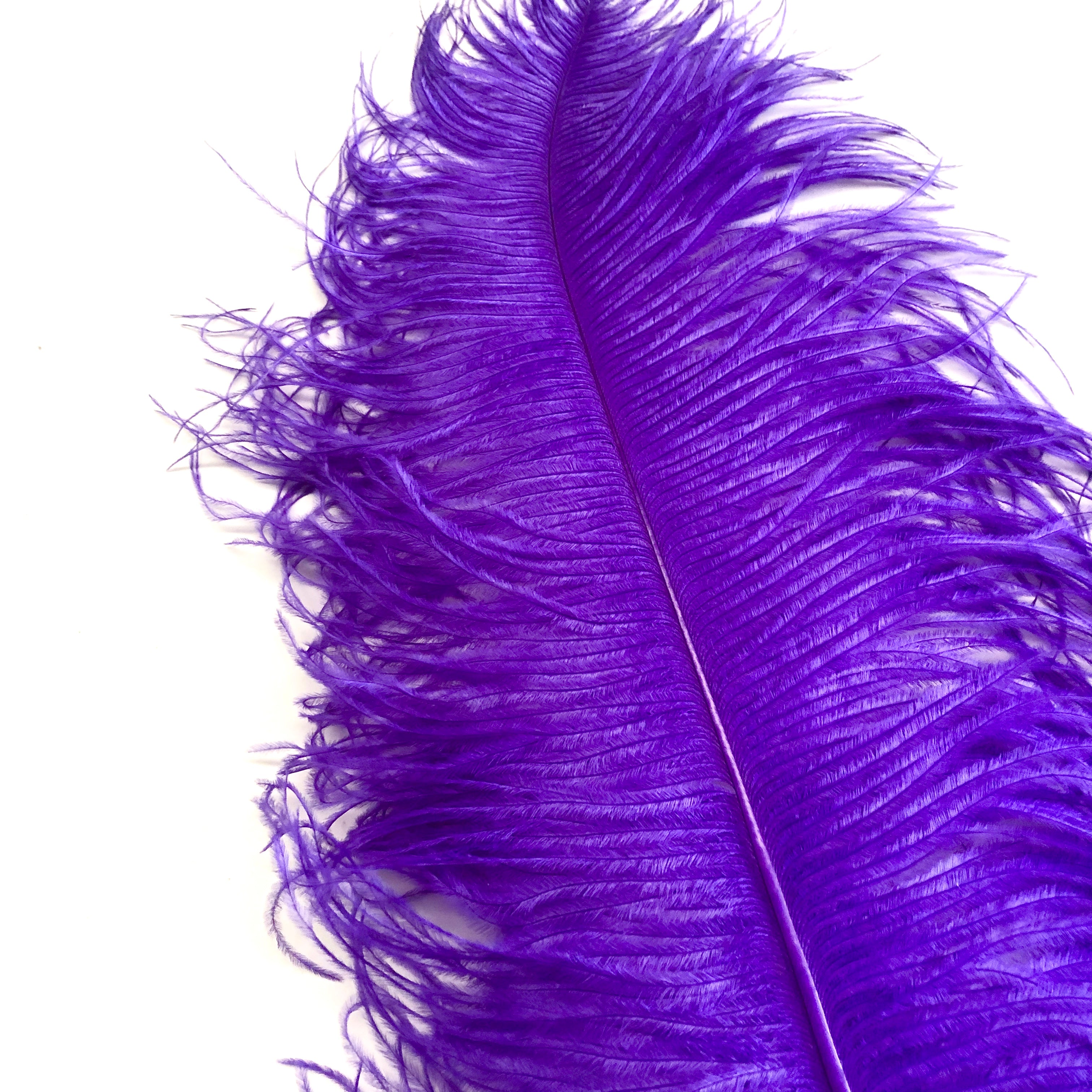 Ostrich Wing Feather Plumes 60-65cm (24-26") - Purple ((SECONDS))