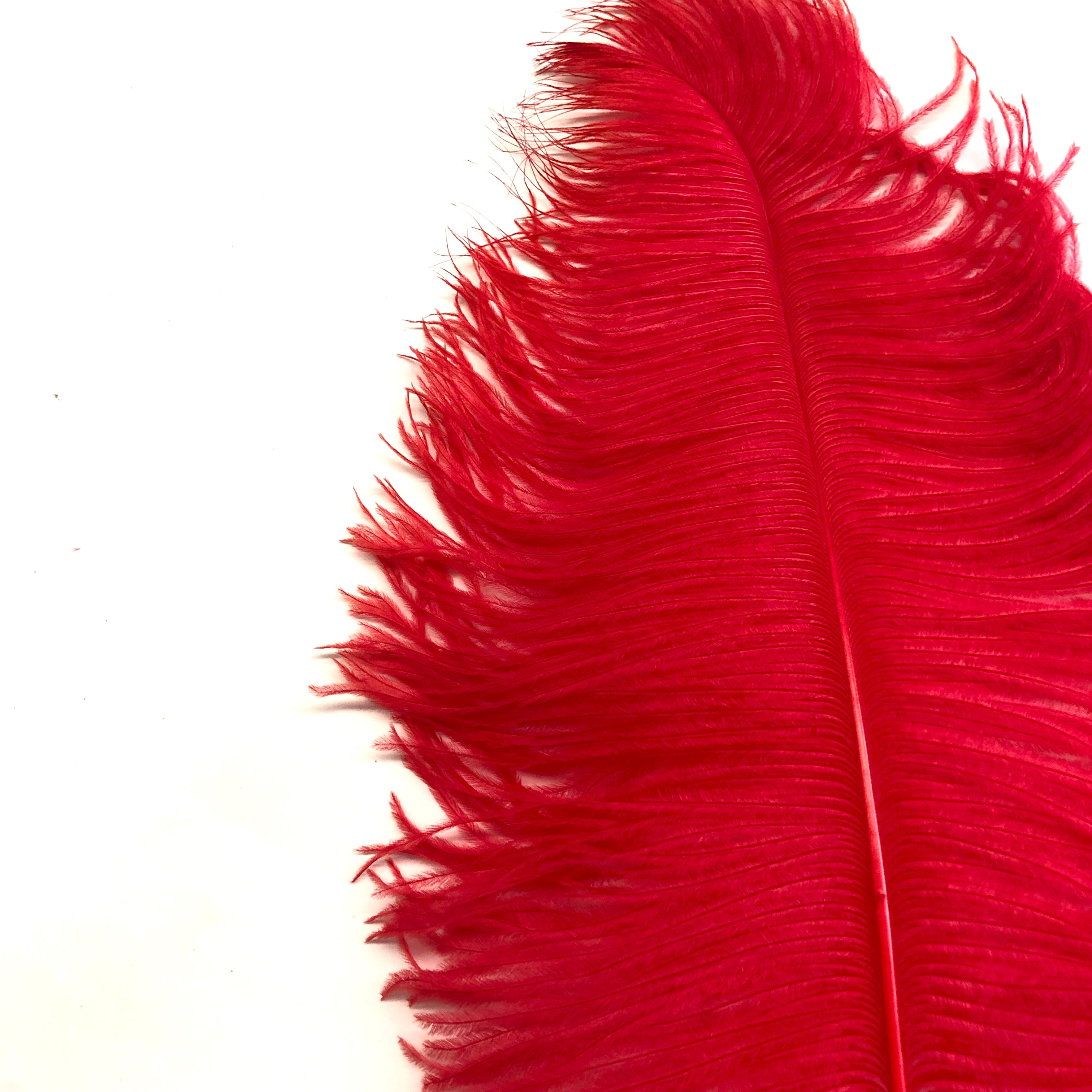 Ostrich Wing Feather Plumes 60-65cm (24-26") - Red