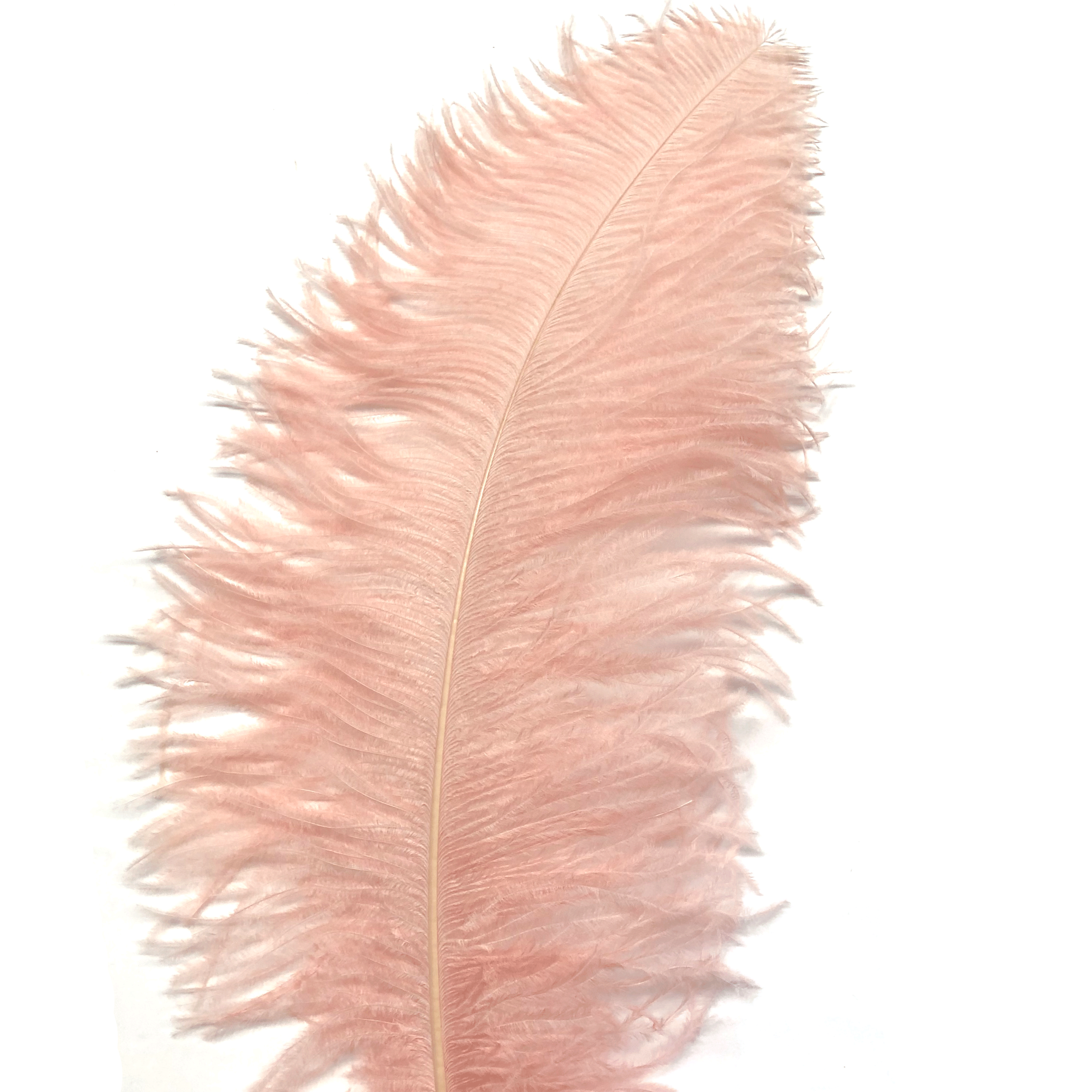 Ostrich Wing Feather Plumes 50-55cm (20-22") - Blush Pink ((SECONDS))