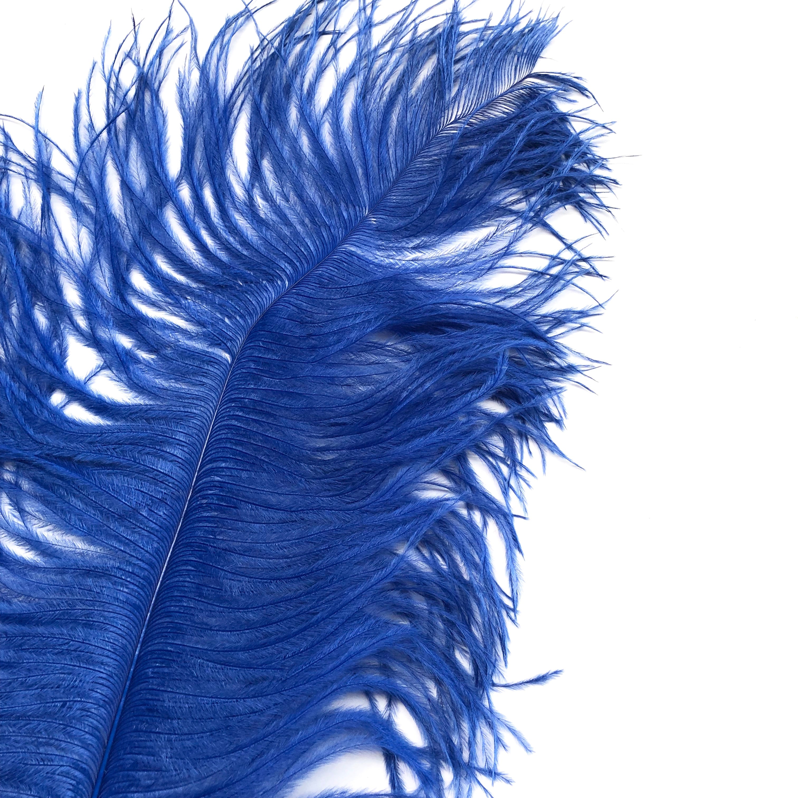 Ostrich Wing Feather Plumes 60-65cm (24-26") - Royal Blue