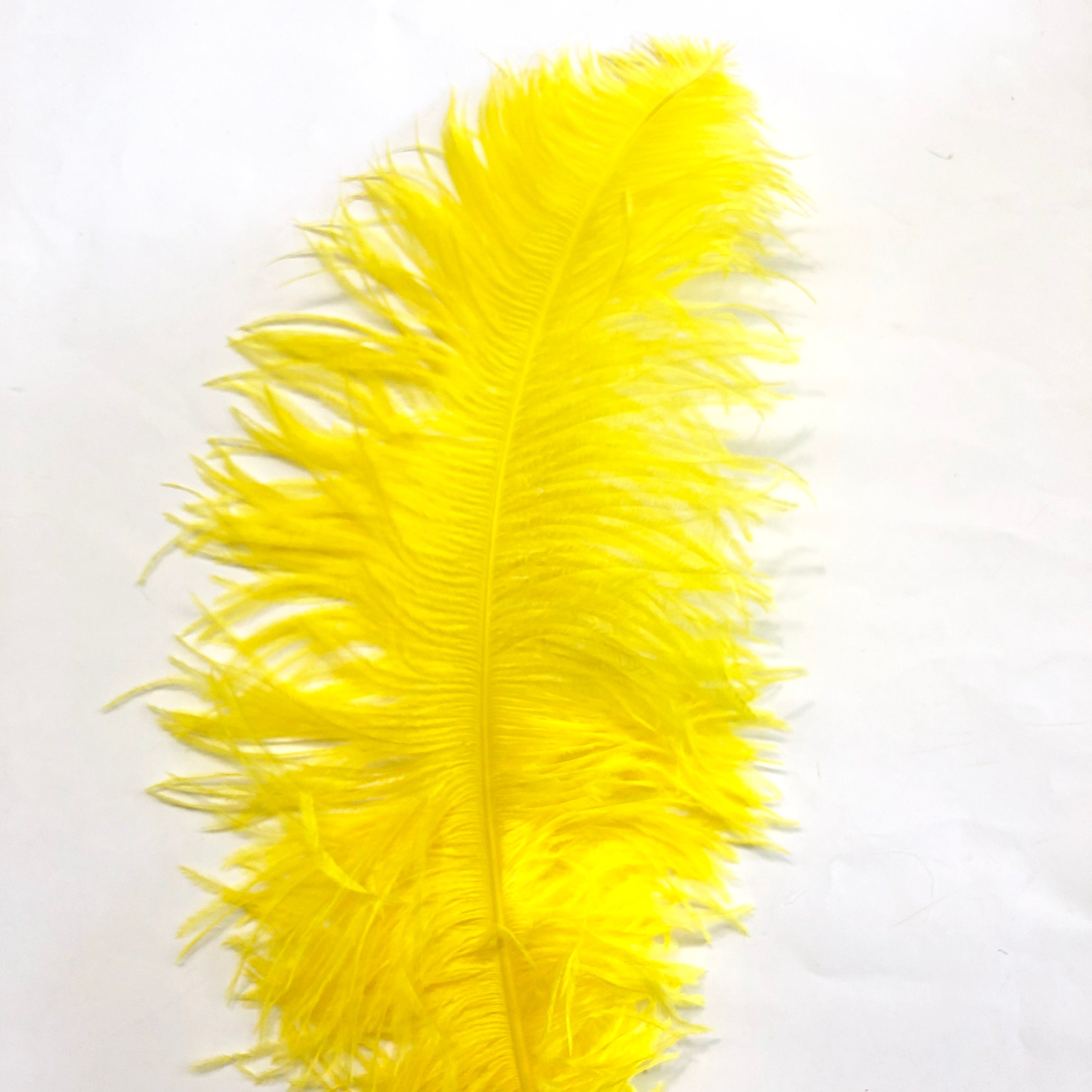 Ostrich Wing Feather Plumes 60-65cm (24-26") - Yellow