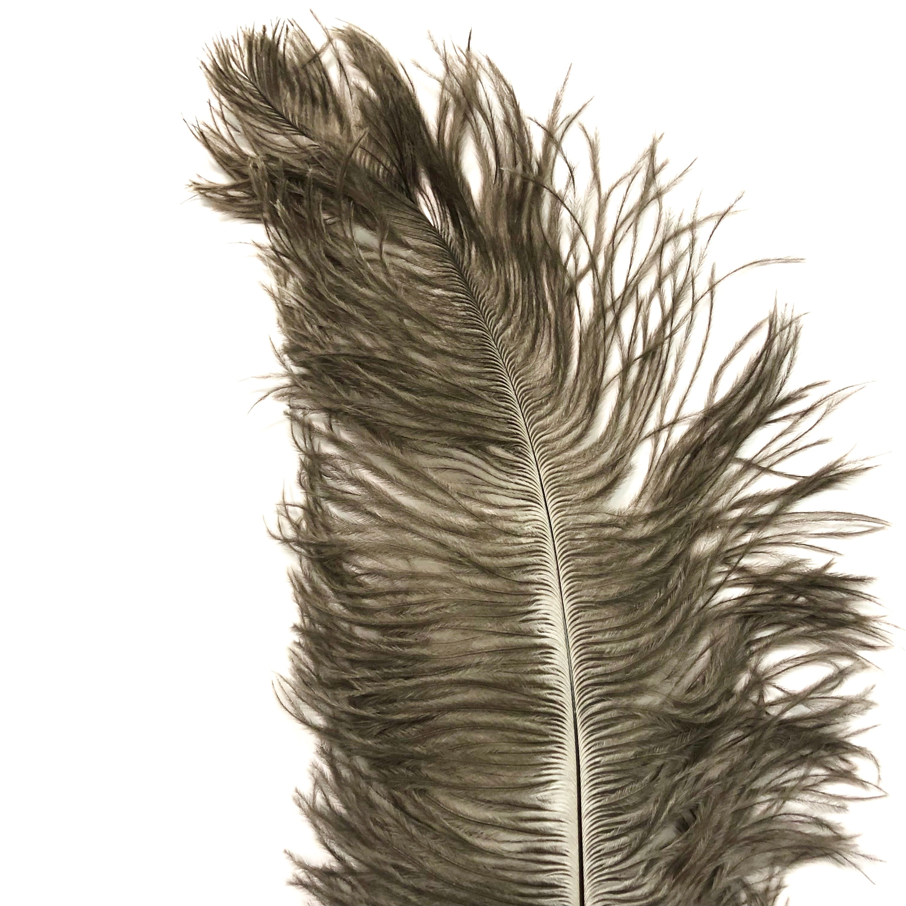 Ostrich Blondine Feather 25-40cm - Natural