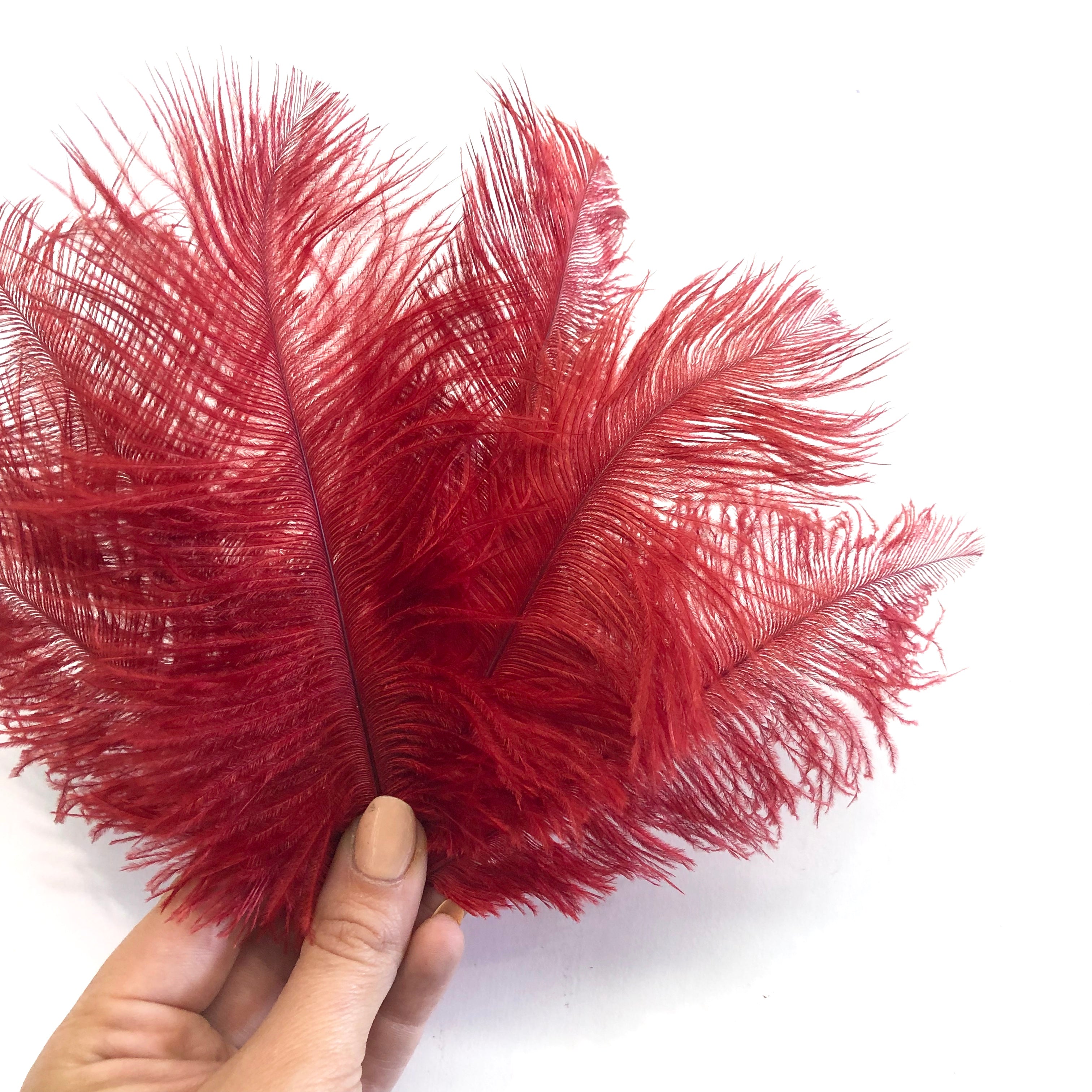 Ostrich Feather Drab 6-15cm x 20 - Blood Red