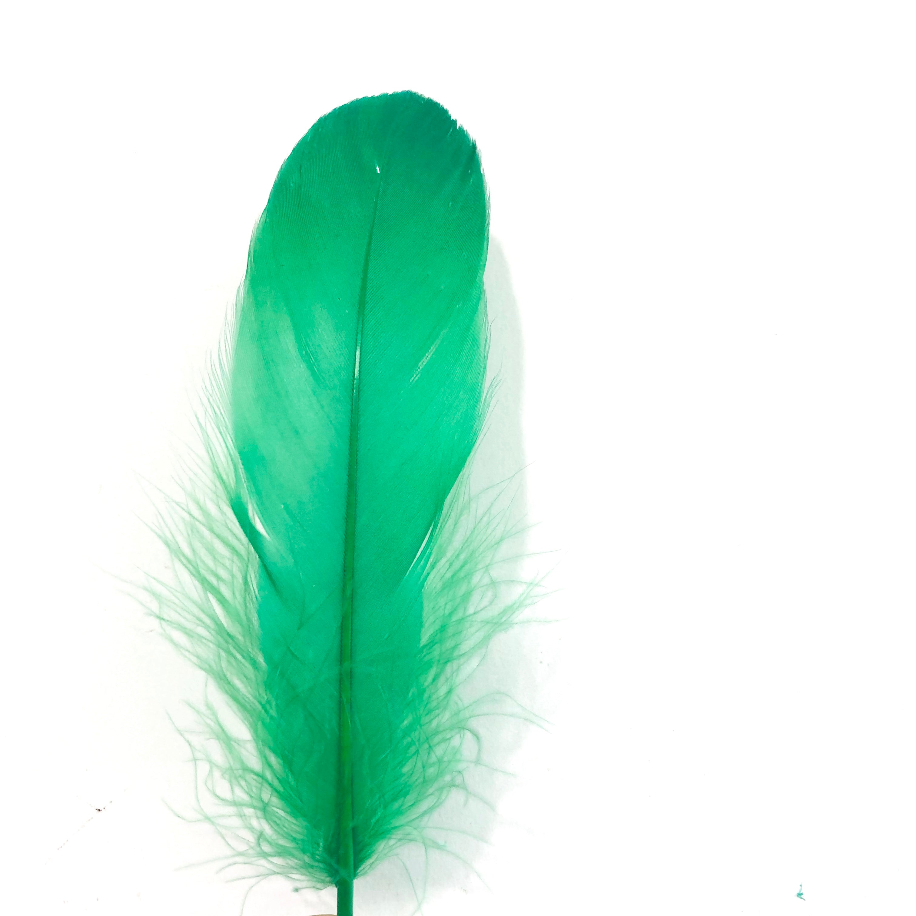 Goose Nagoire Feathers 10 grams - Green