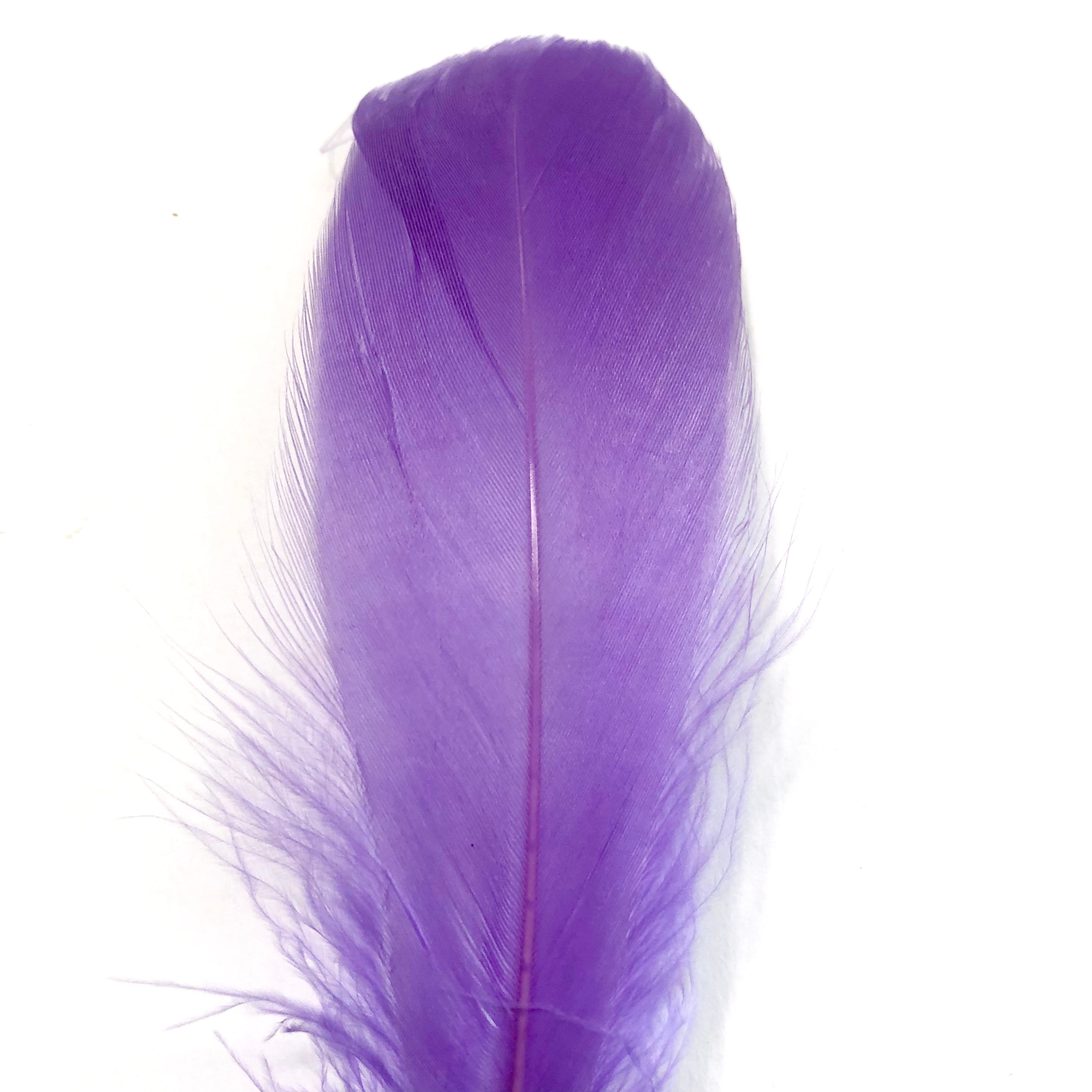 Goose Nagoire Feathers 10 grams - Purple