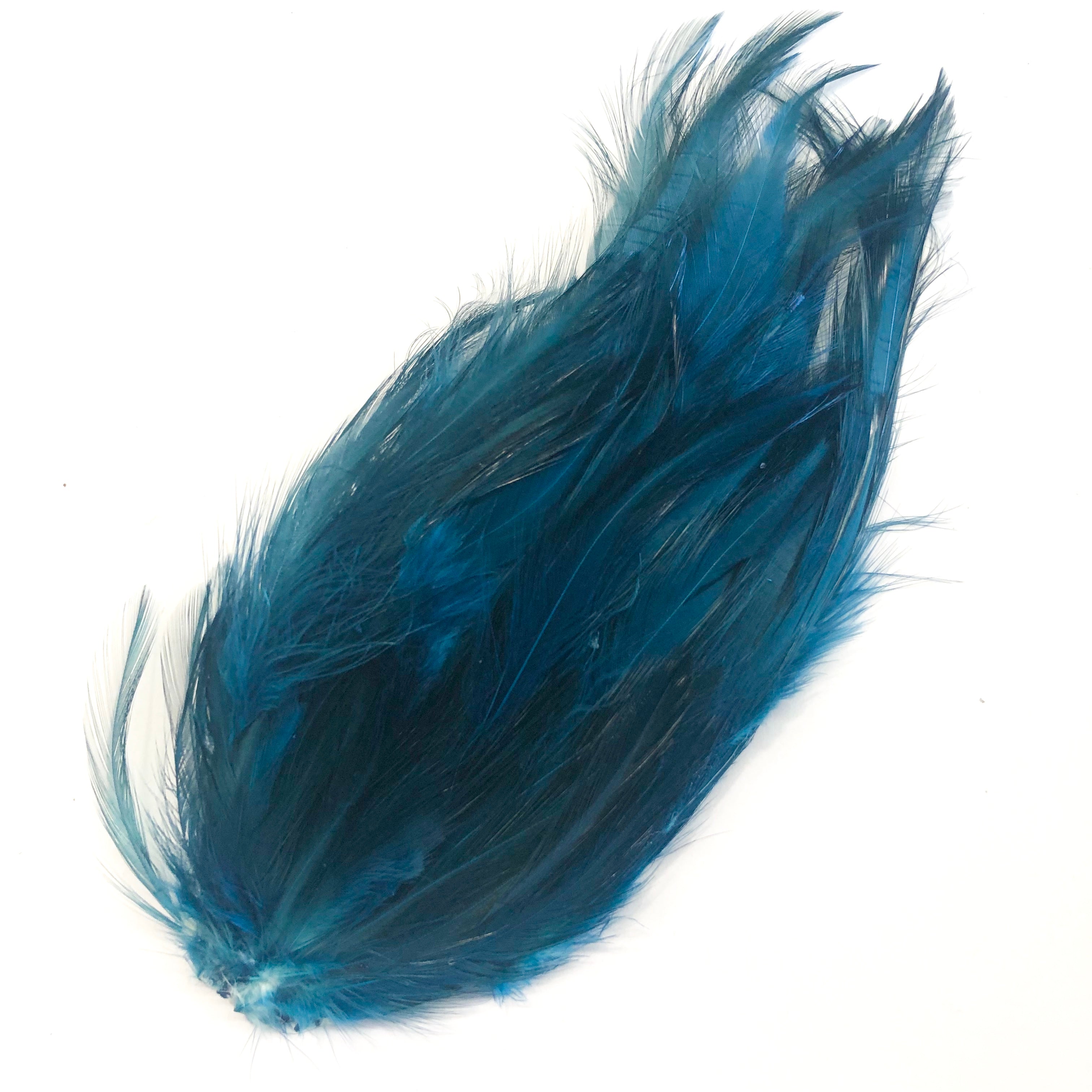 Coque Hackle Feather Pad - Teal