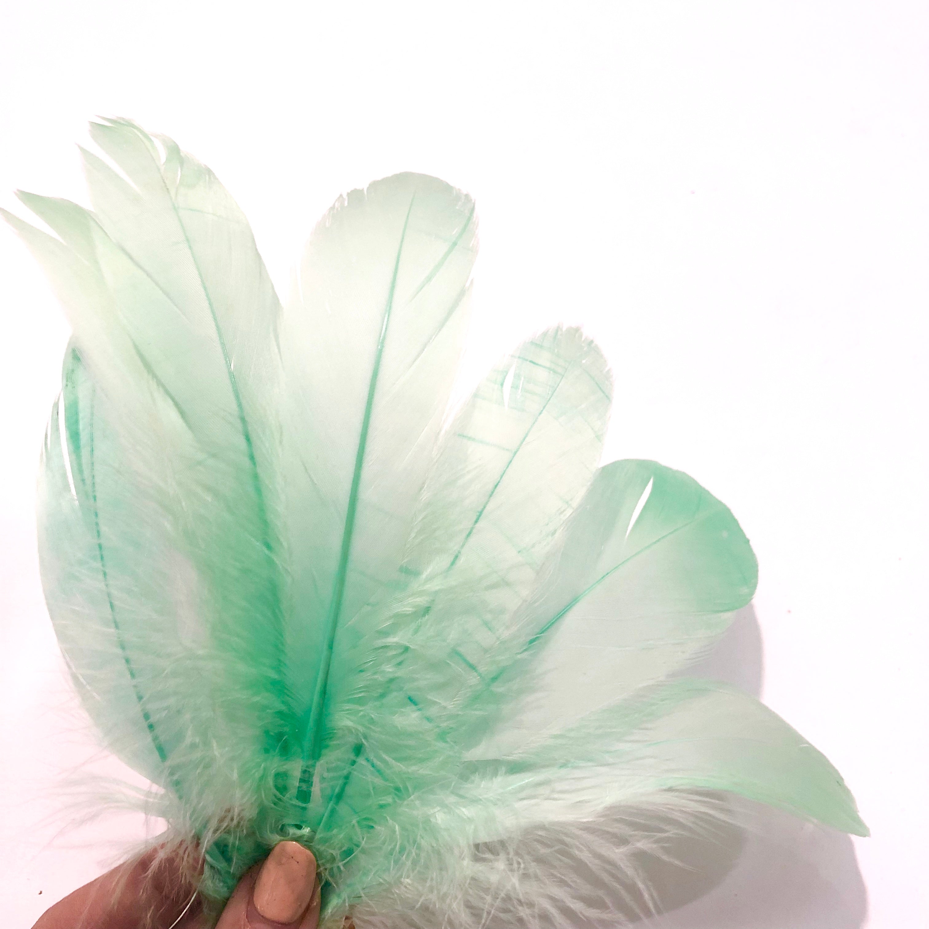 Goose Nagoire Feathers 10 grams - Mint Green