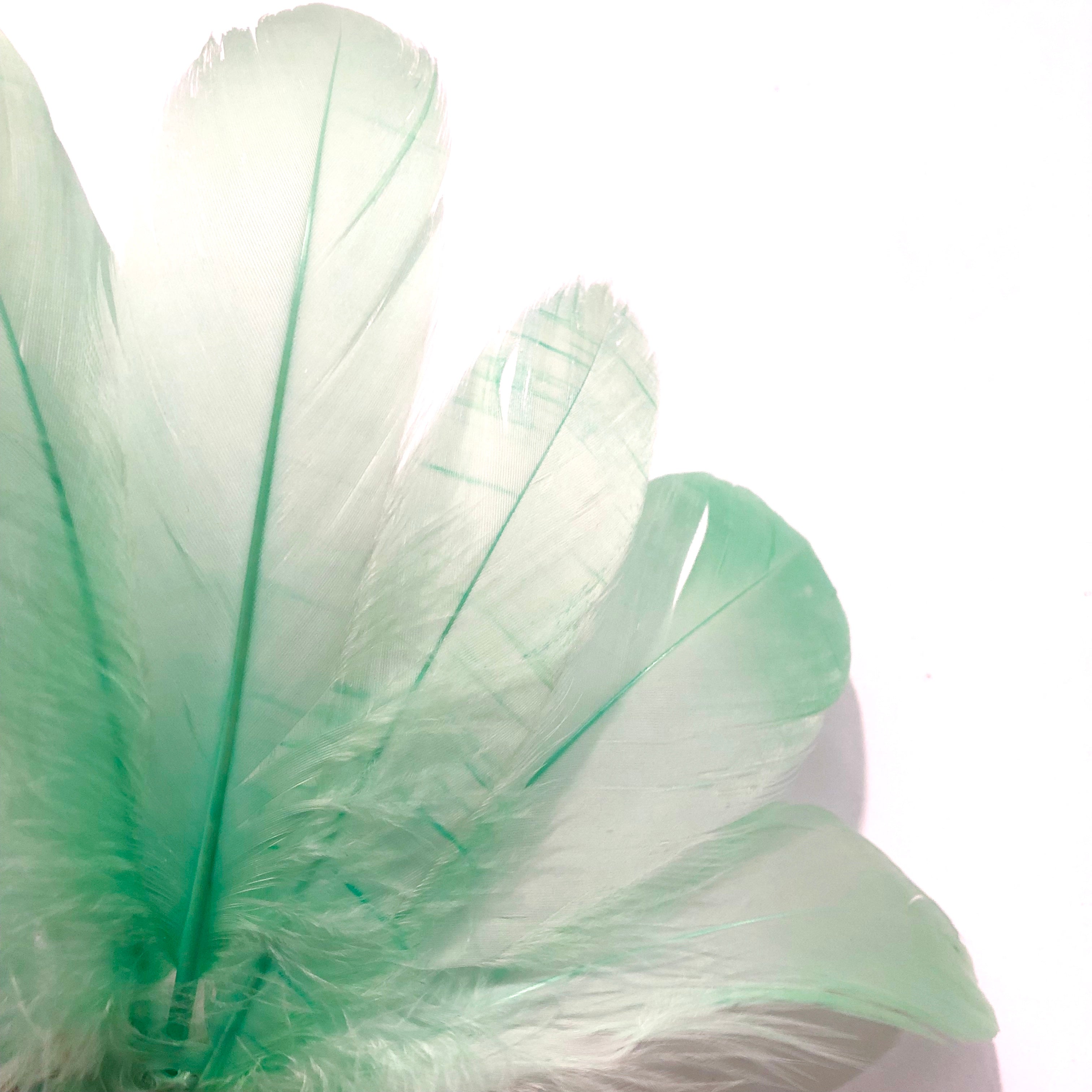 Goose Nagoire Feathers 10 grams - Mint Green