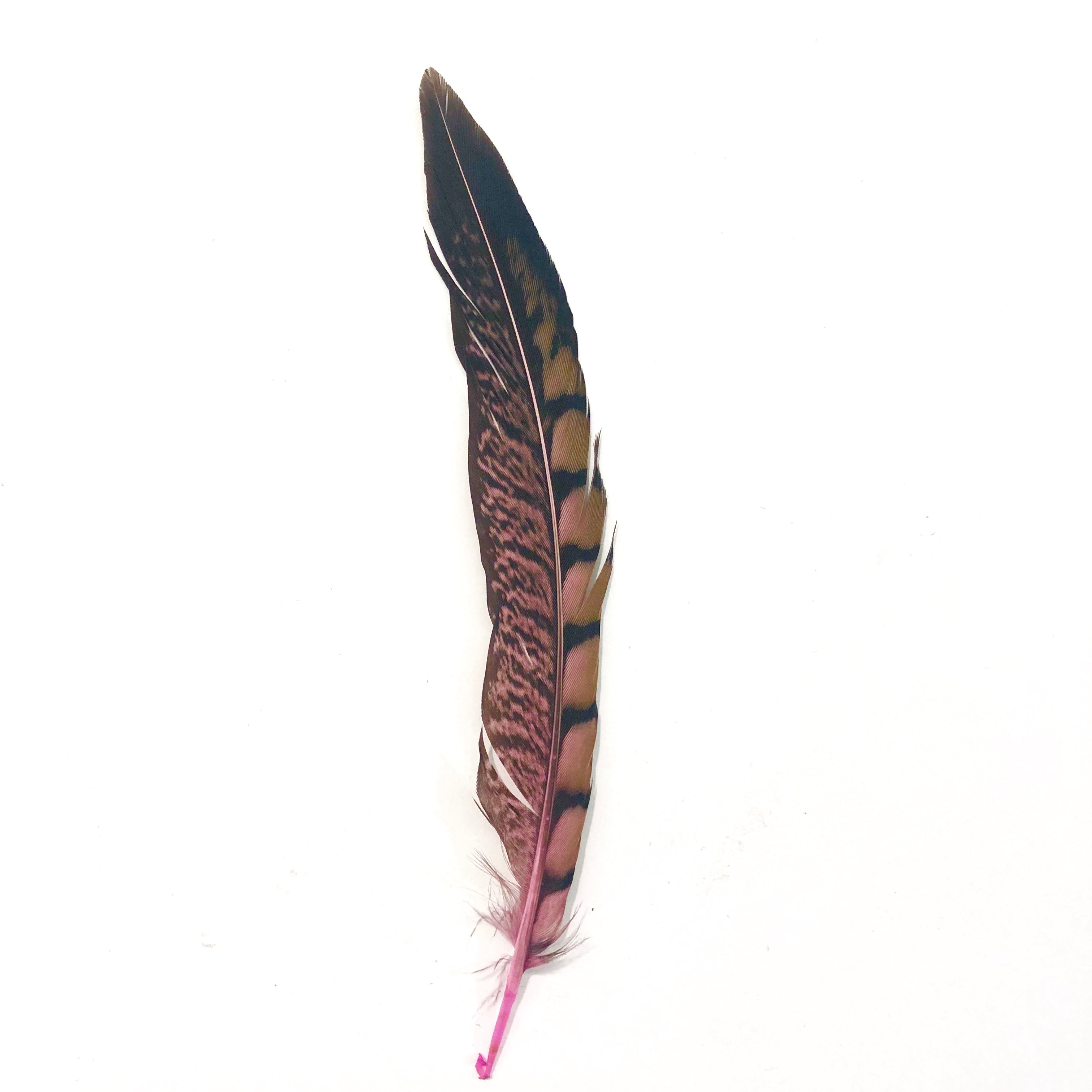5" to 10" Lady Amherst Pheasant Side Tail Feather x 10 pcs - Pink