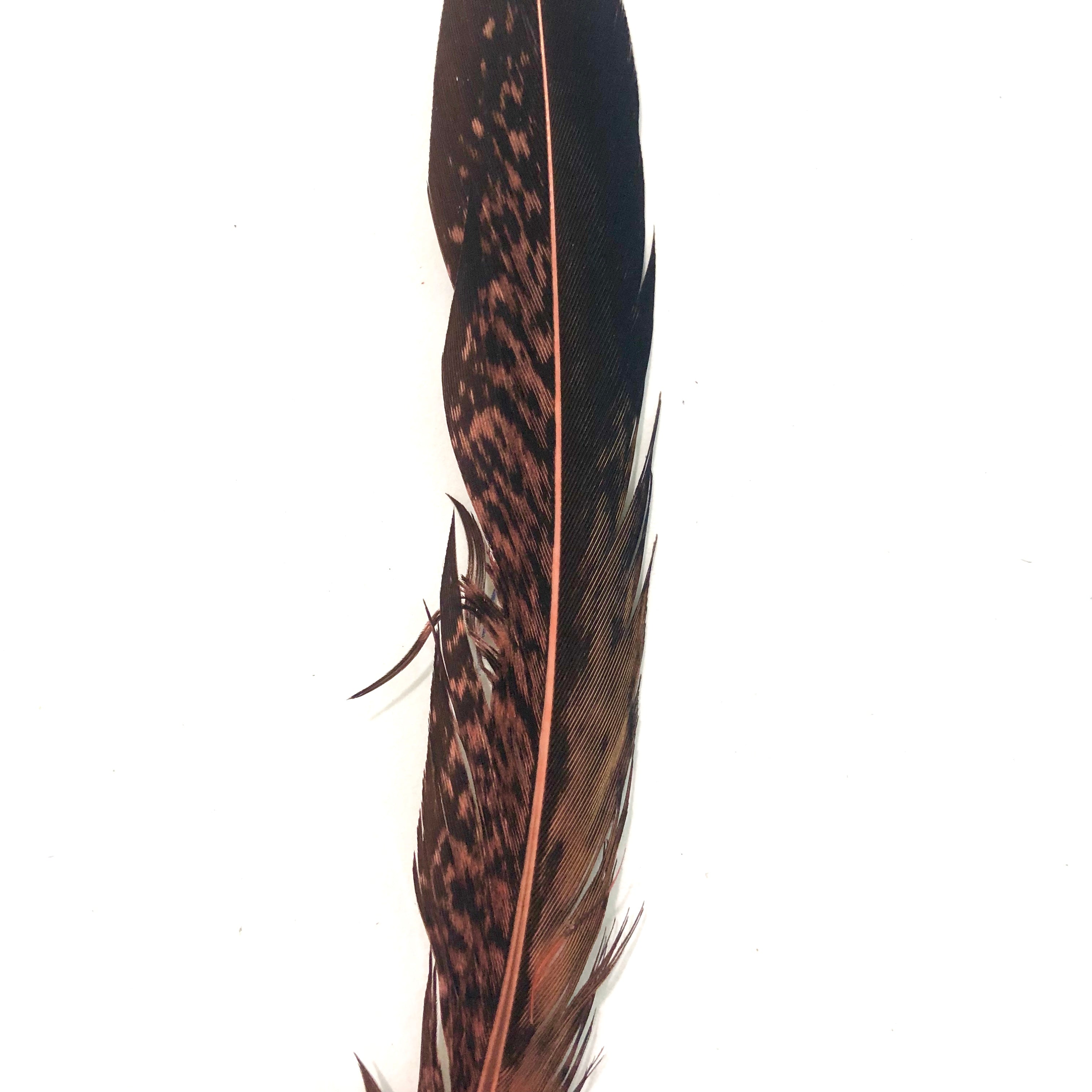 5" to 10" Lady Amherst Pheasant Side Tail Feather x 10 pcs - Dusty Pink