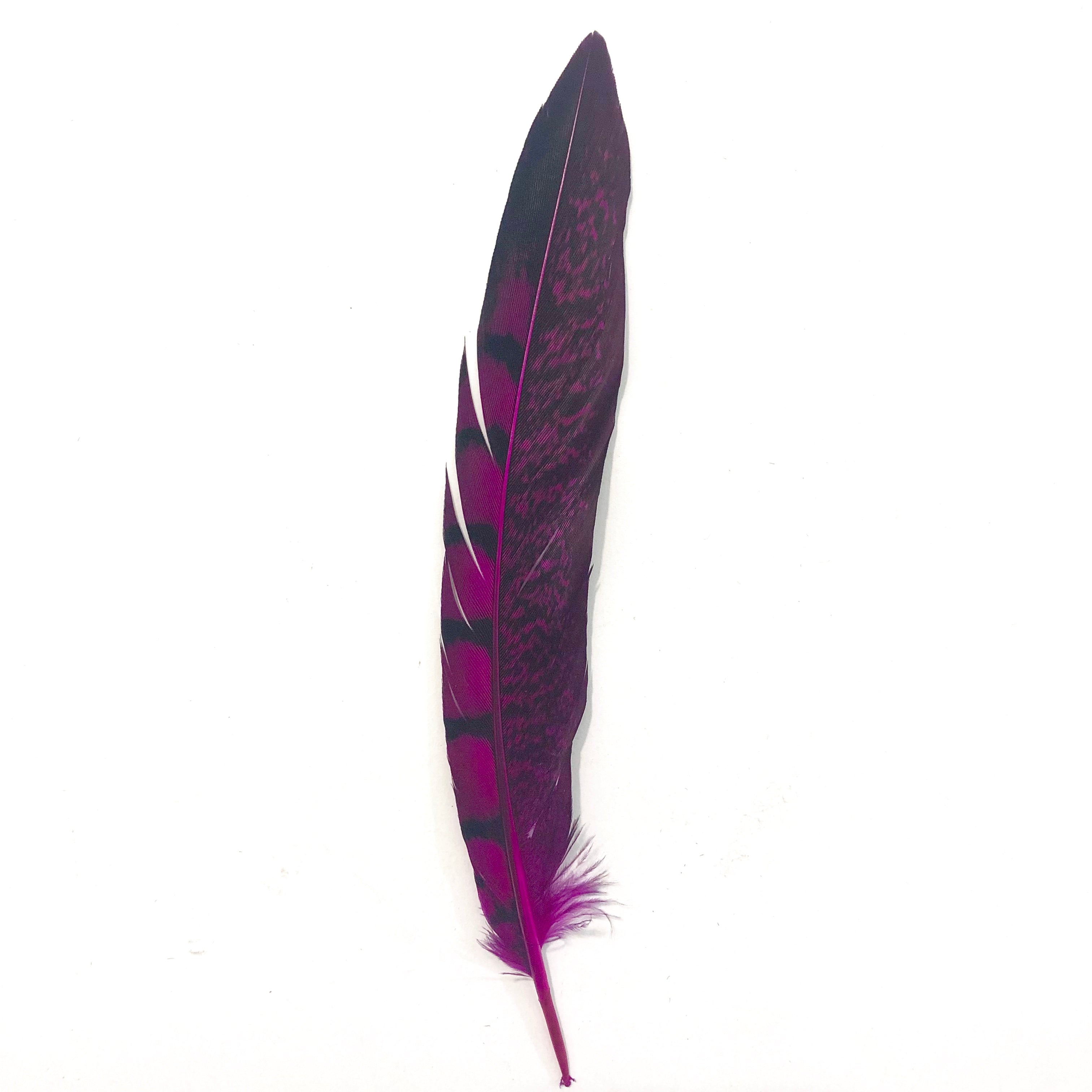 5" to 10" Lady Amherst Pheasant Side Tail Feather x 10 pcs - Cerise