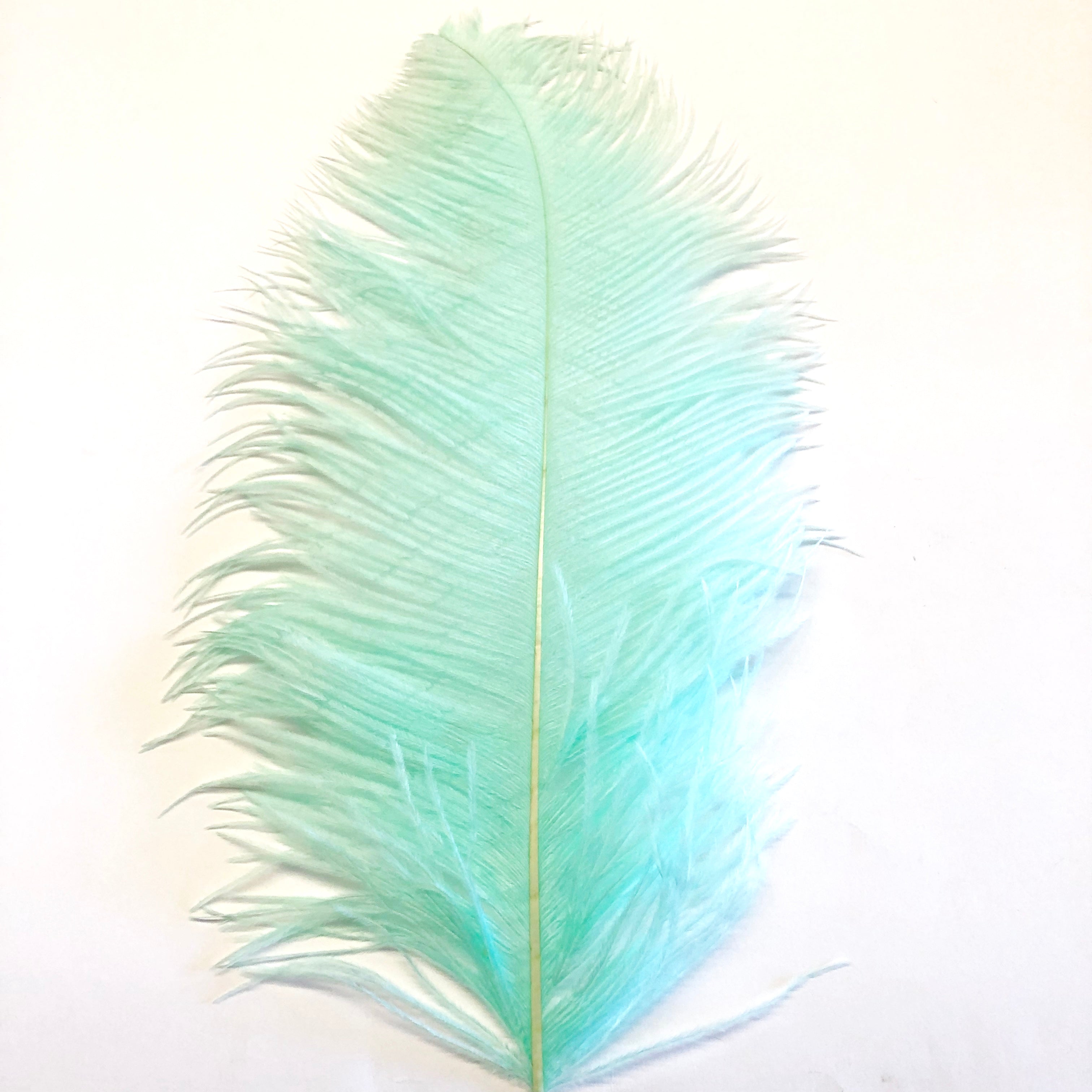 Ostrich Wing Feather Plumes 50-55cm (20-22") - Mint Green ((SECONDS))