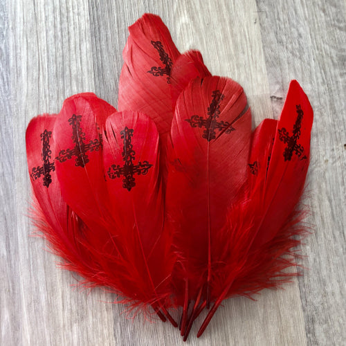 Goose Nagoire Printed Red Feather Art Craft - Cross Style 2 x 10 pcs