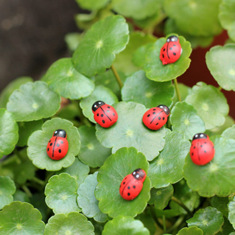 Fairy Garden Terrarium Miniature Wooden Ladybug x 50 pcs - Red