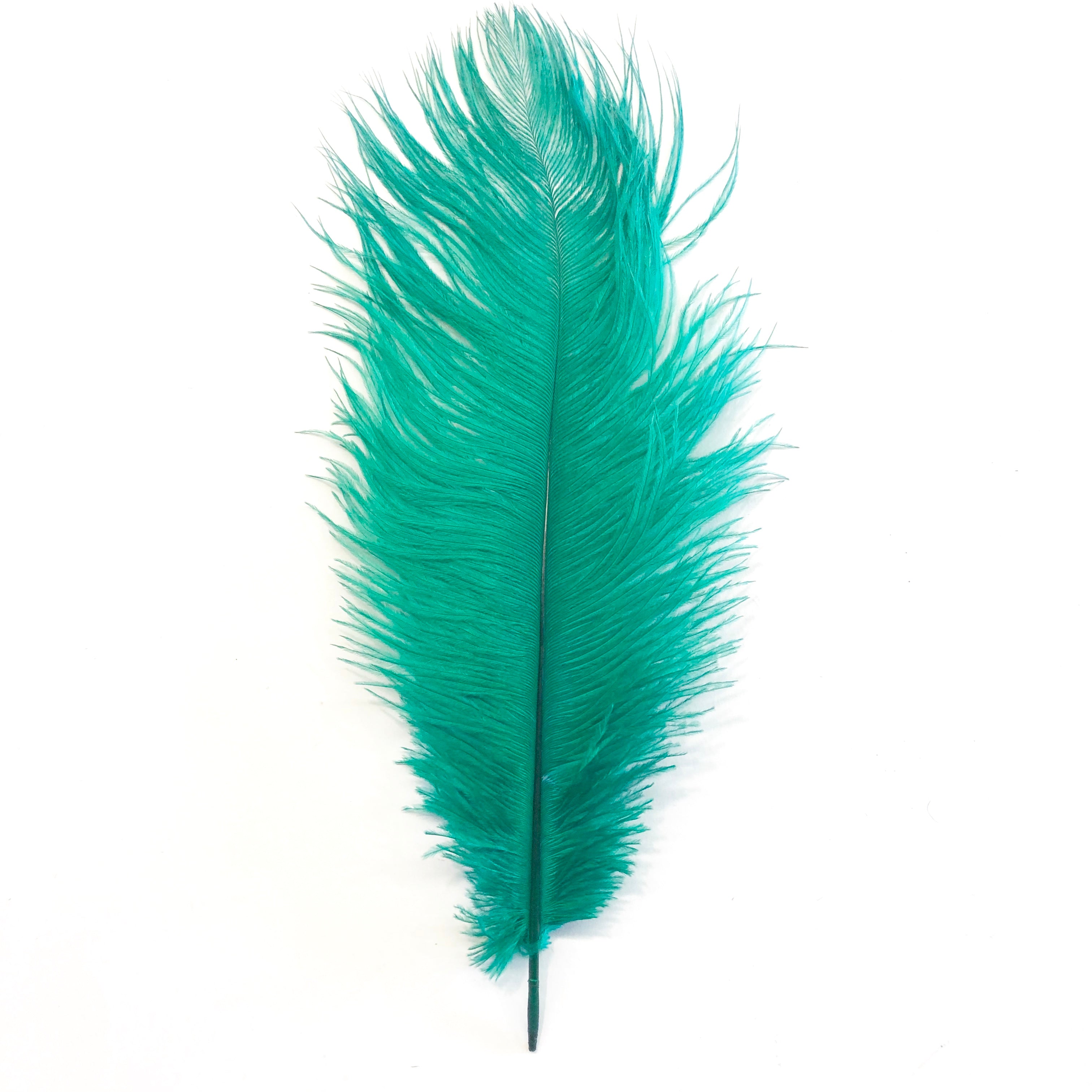 Ostrich Feather Drab 37-42cm x 5 pcs - Green ((SECONDS))