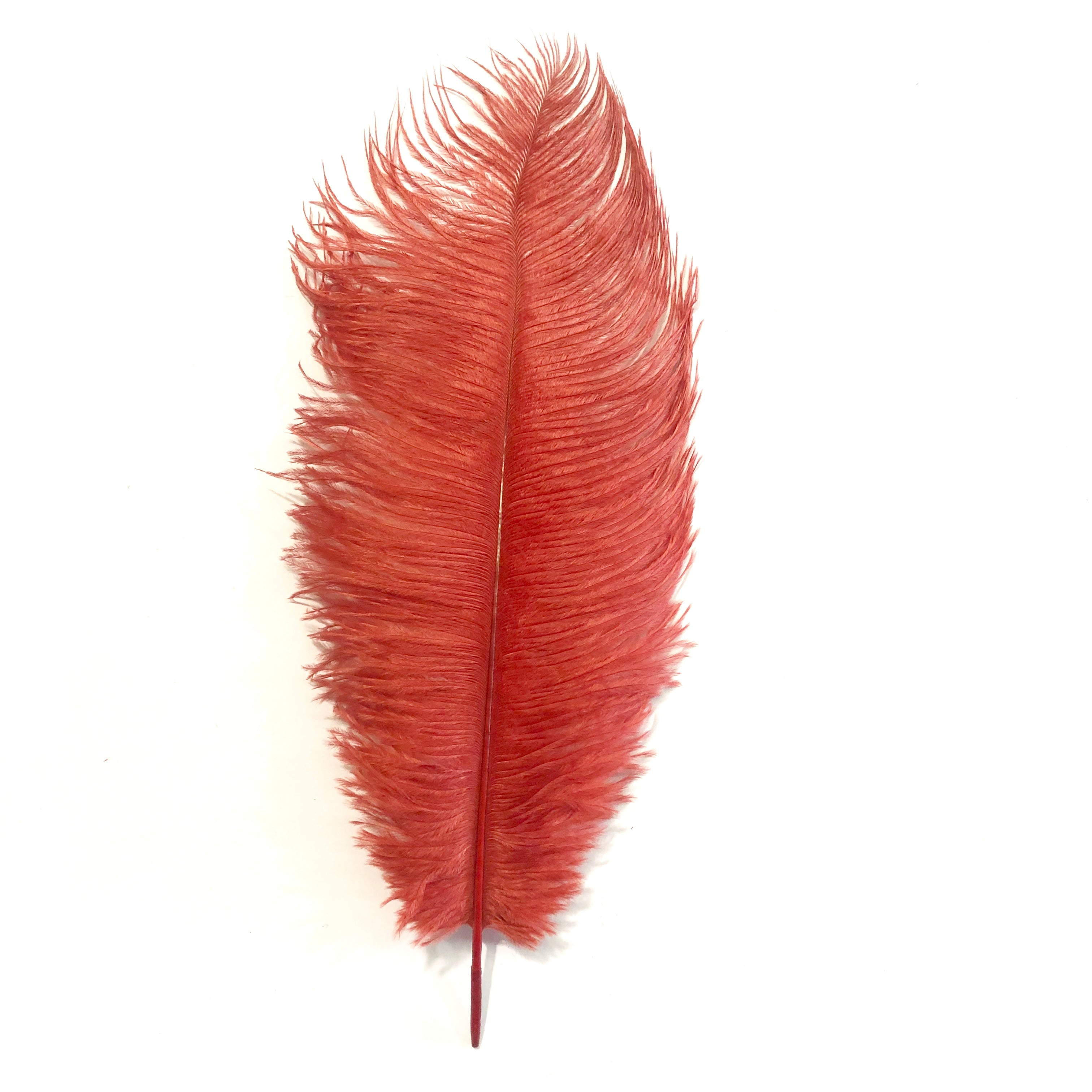 Ostrich Drab Feather 27-32cm - Blood Red *Seconds* Pack of 5