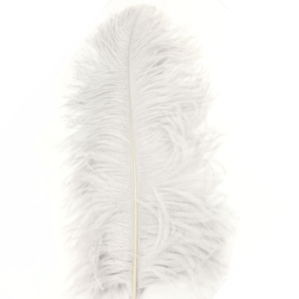 Ostrich Wing Feather Plumes 50-55cm (20-22") - Ivory ((SECONDS))