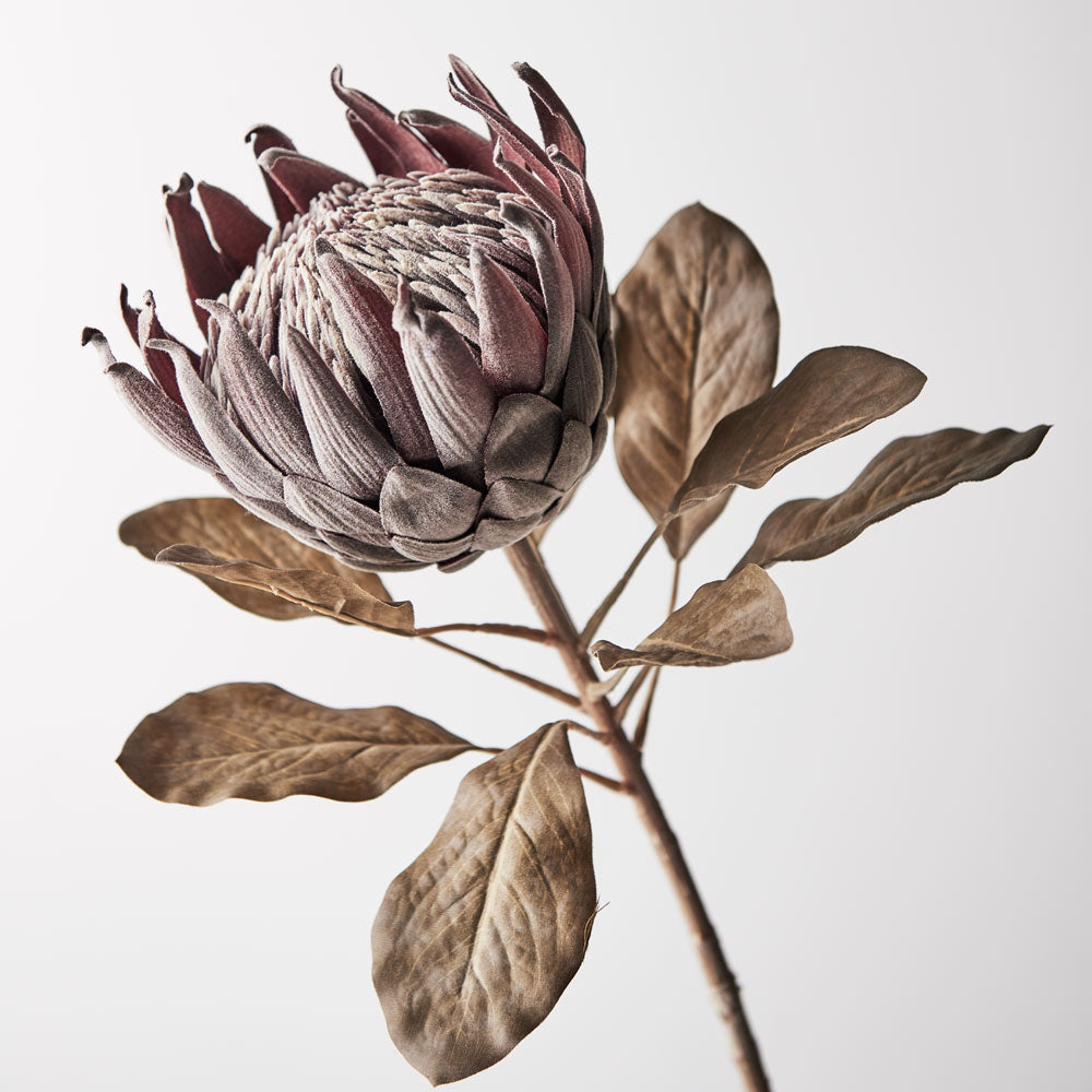 Artificial Protea King Flower Stem - Chocolate Brown (Style 5)