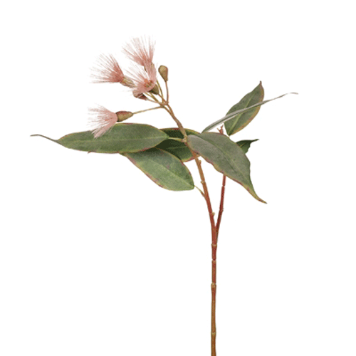 Artificial Australian Native Silk Flowering Eucalyptus Greenery Spray - Pink (STYLE 2)