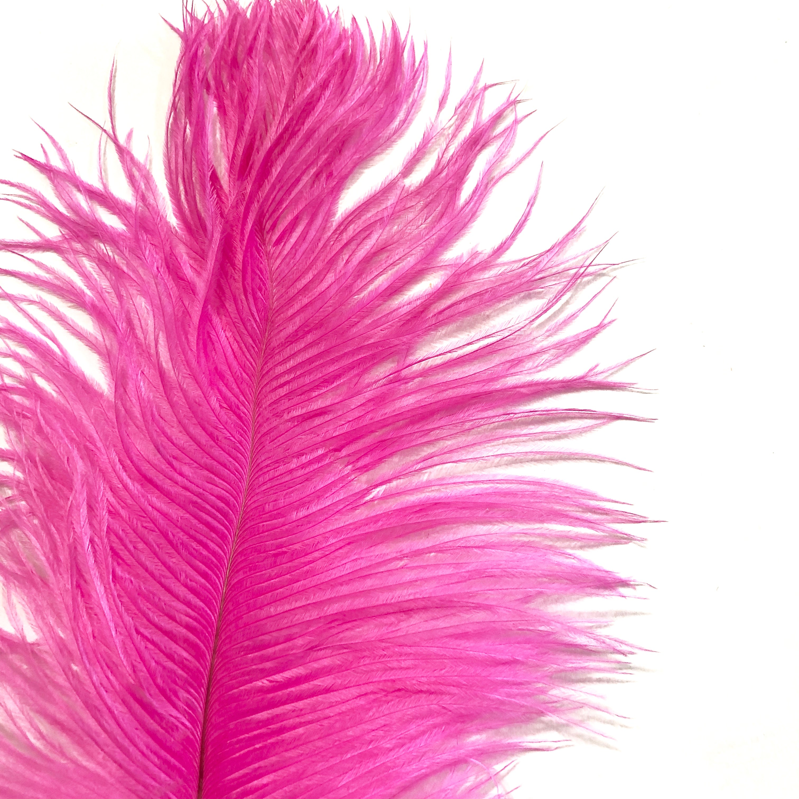 Ostrich Feather Drab 37-42cm x 5 pcs - Hot Pink ((SECONDS))