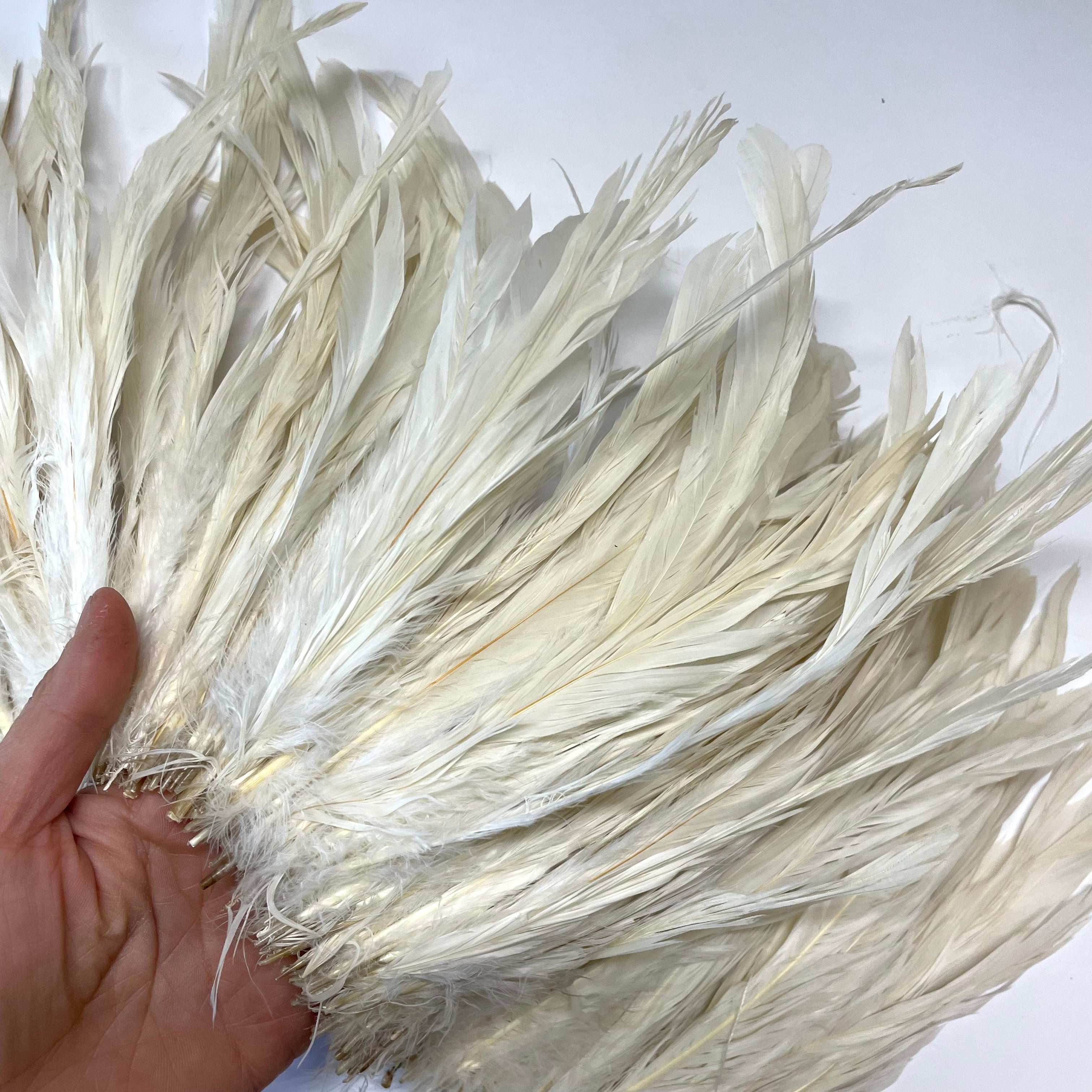 Coque Tail Feather Strung 8/10" - 240mm per 10cm - Off White